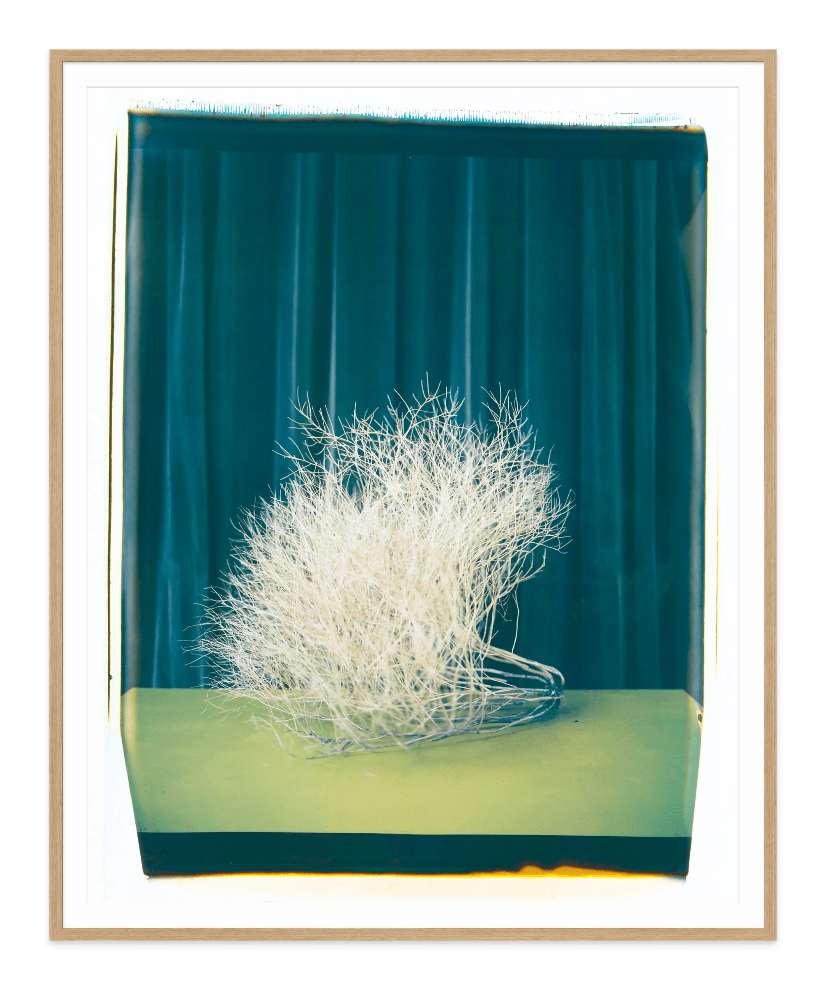 - Jules Frazier Fine Art Photographs