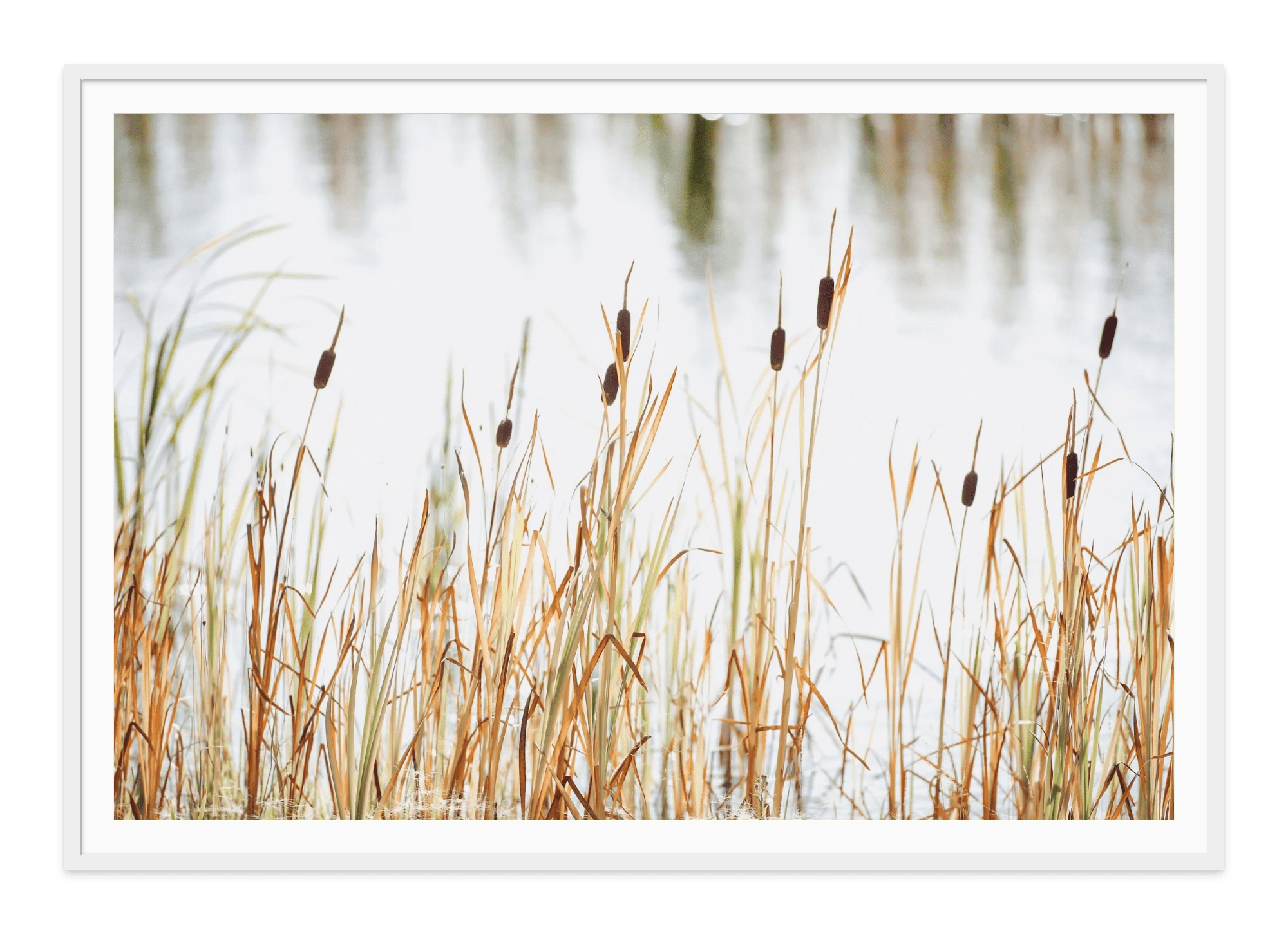 - Jules Frazier Fine Art Photographs