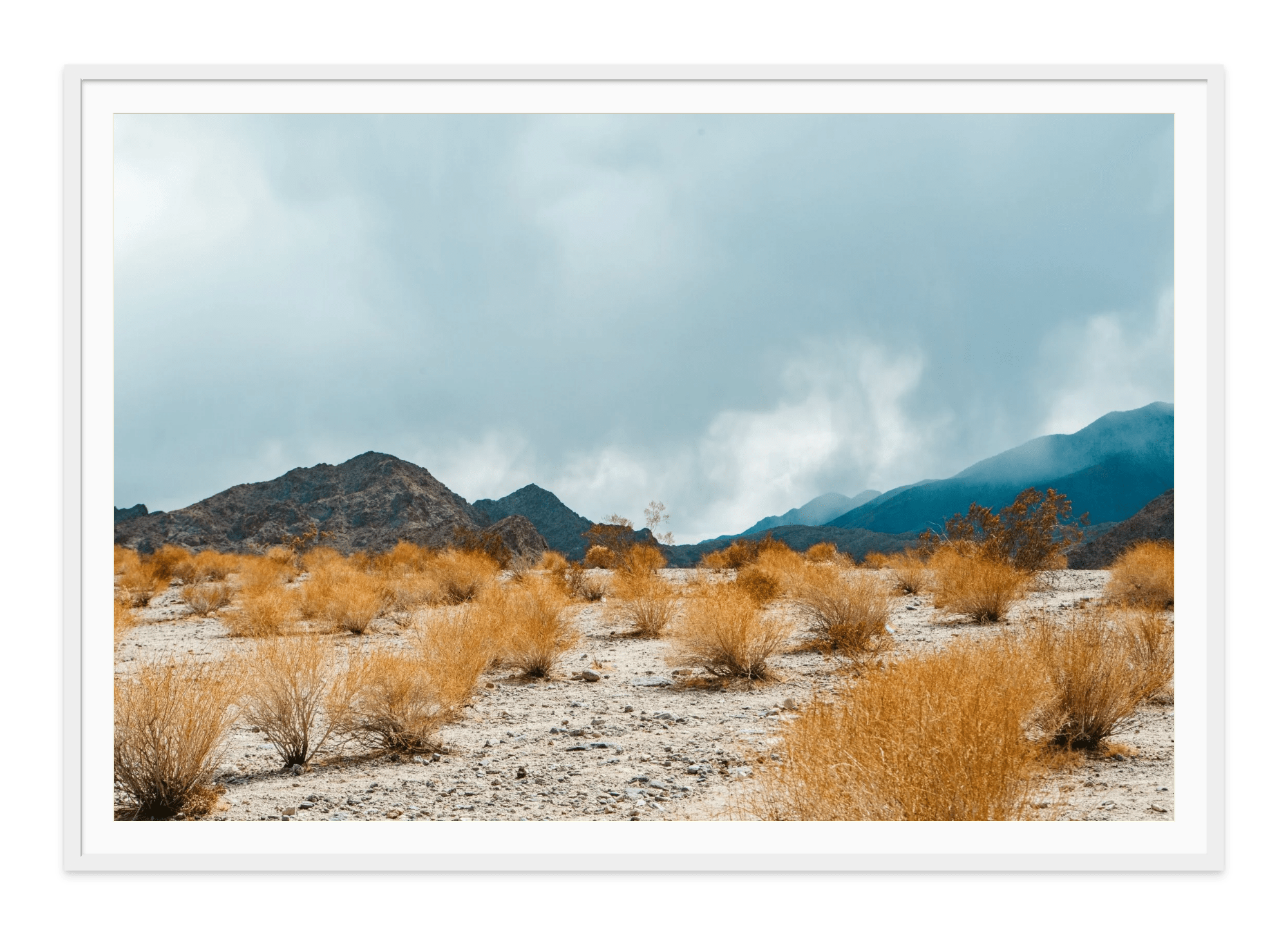 - Jules Frazier Fine Art Photographs