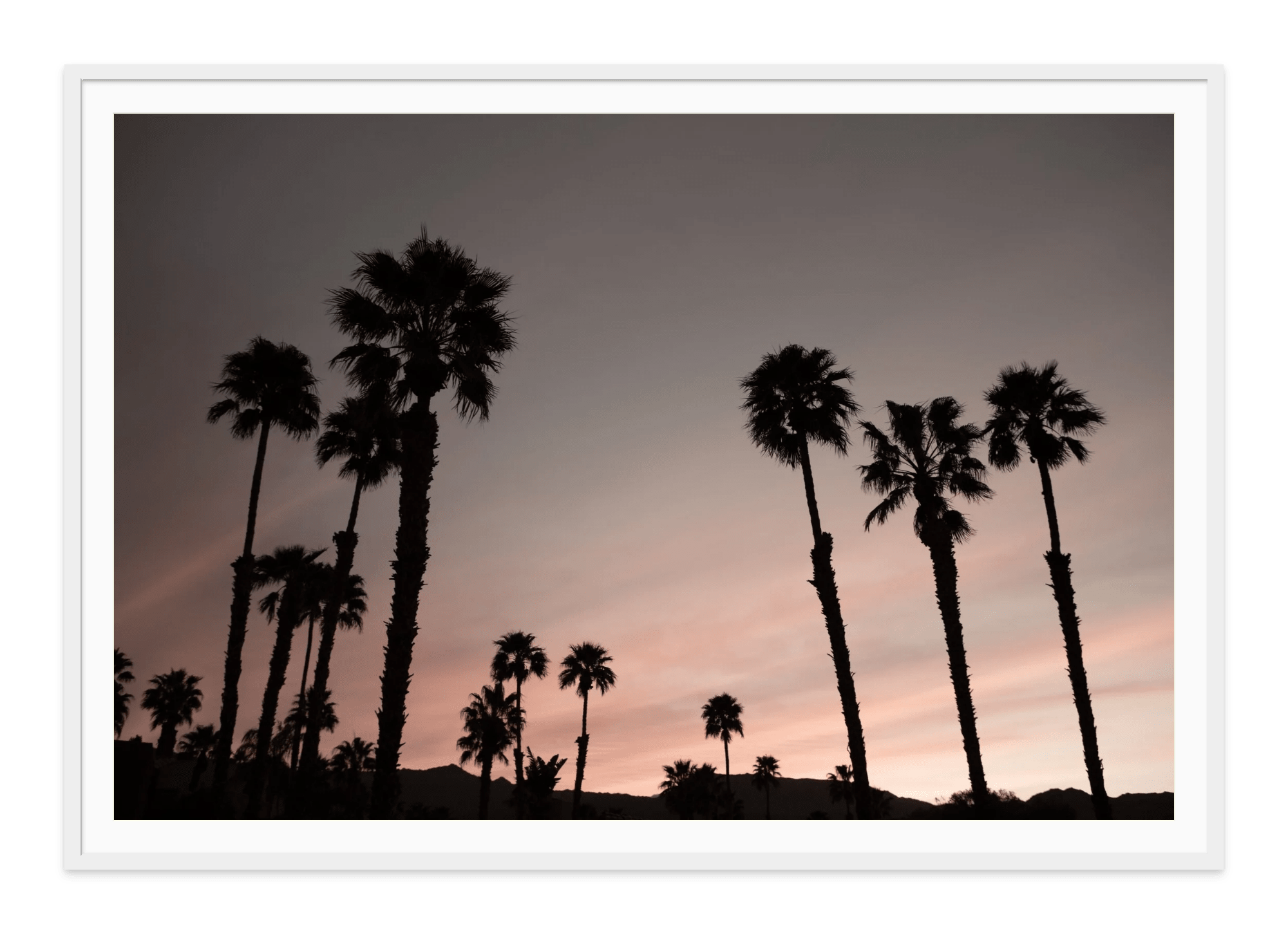 春に散るWIND AND SEA EVERLAST PALM TREE JK 春に散るWIND AND SEA EVERLAST PALM TREE JK 01_IMG_9471.jpg?v