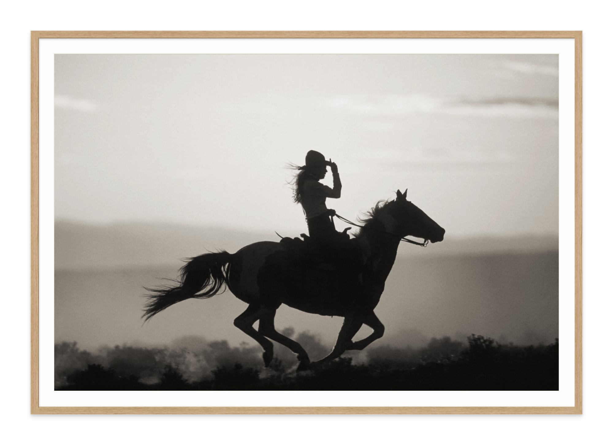 - Jules Frazier Fine Art Photographs