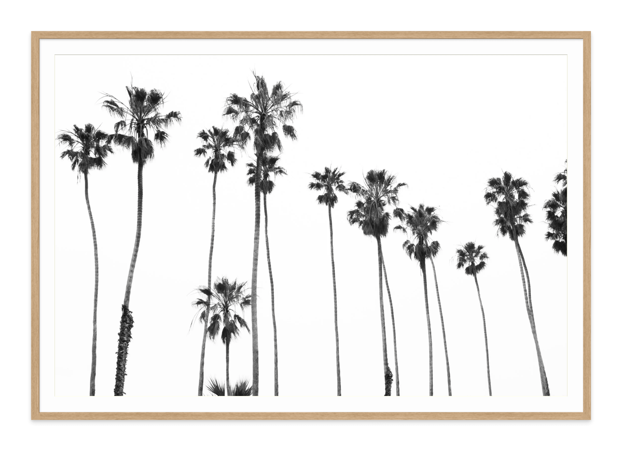 - Jules Frazier Fine Art Photographs