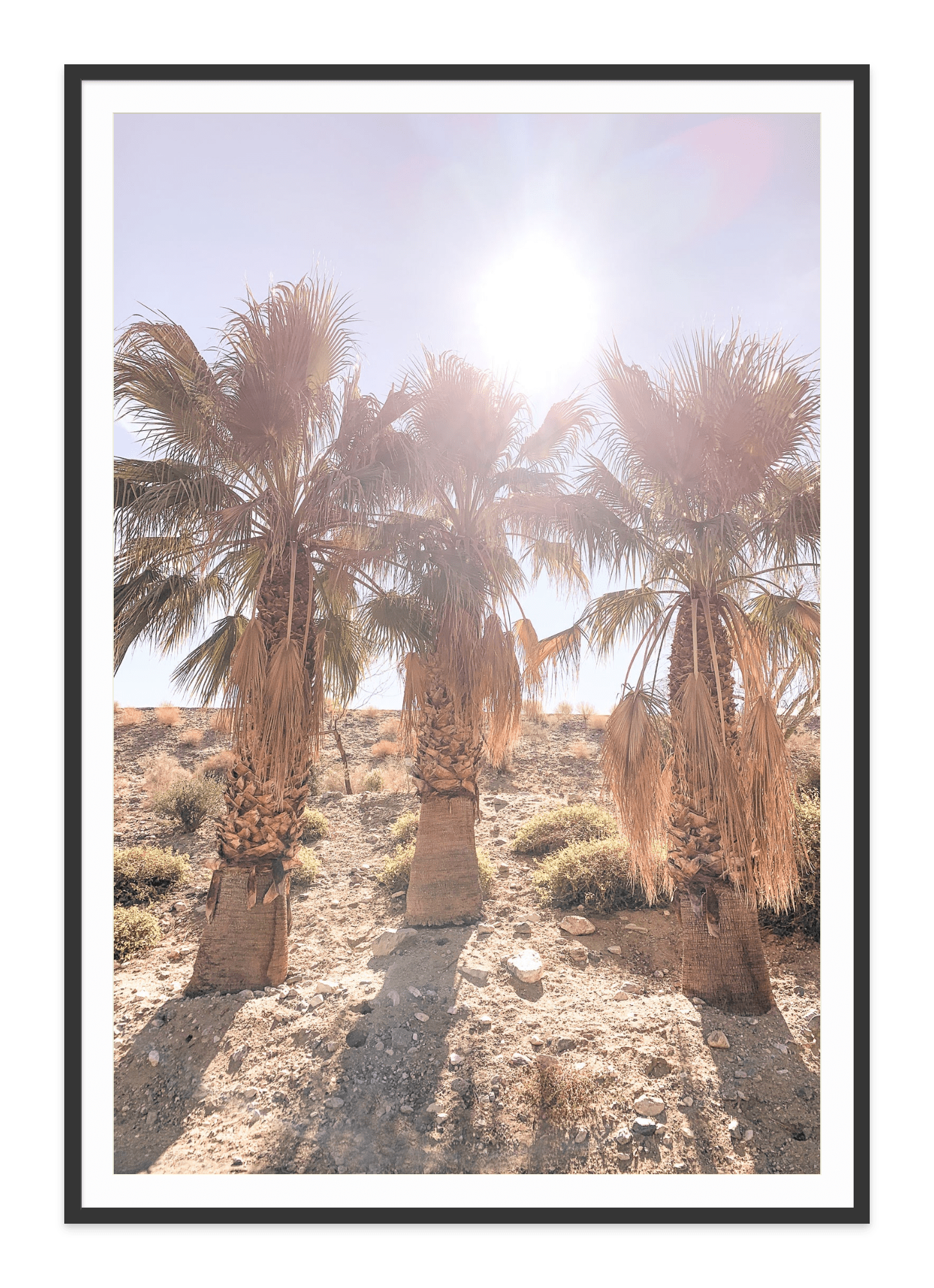 - Jules Frazier Fine Art Photographs