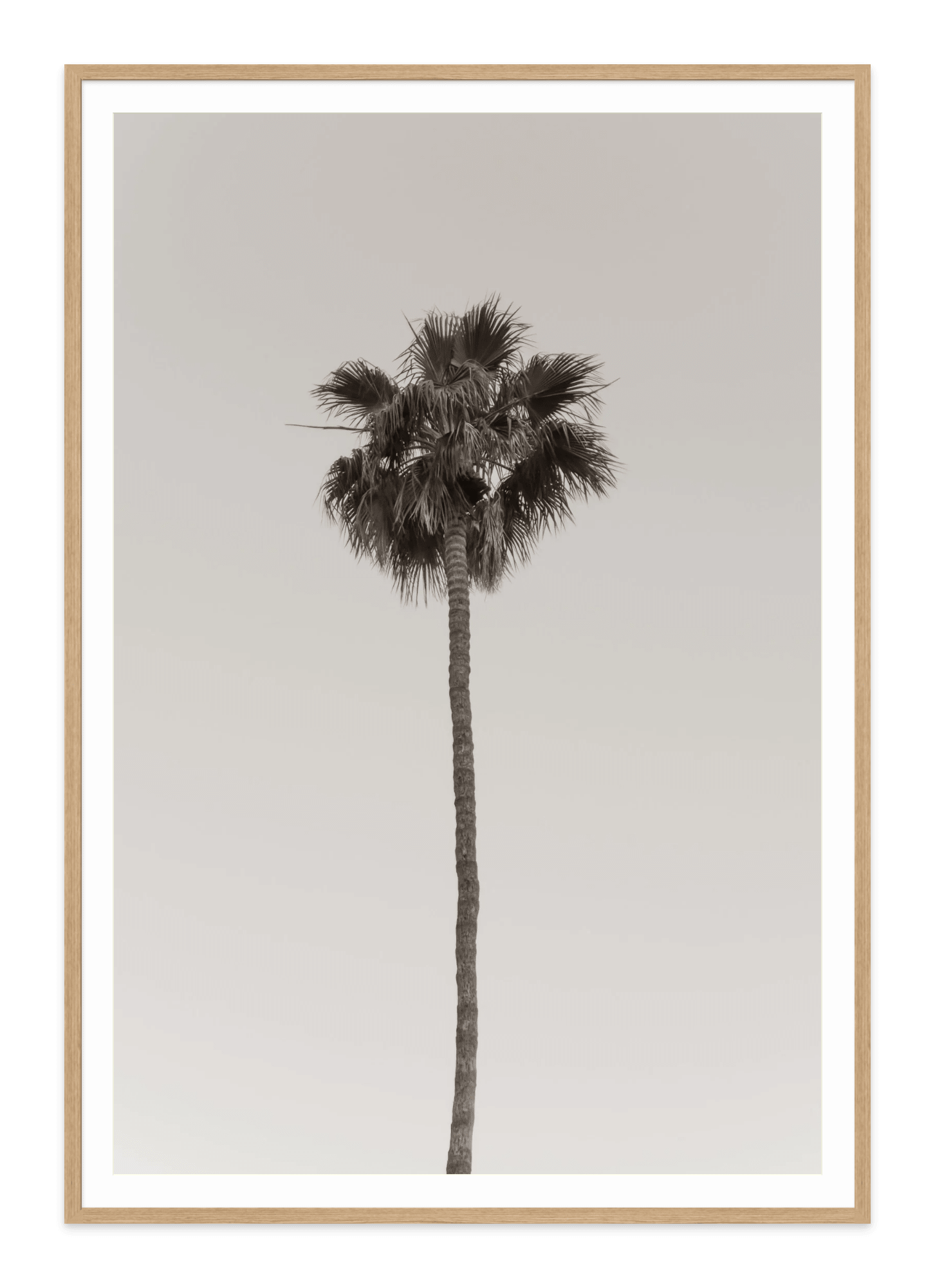 - Jules Frazier Fine Art Photographs