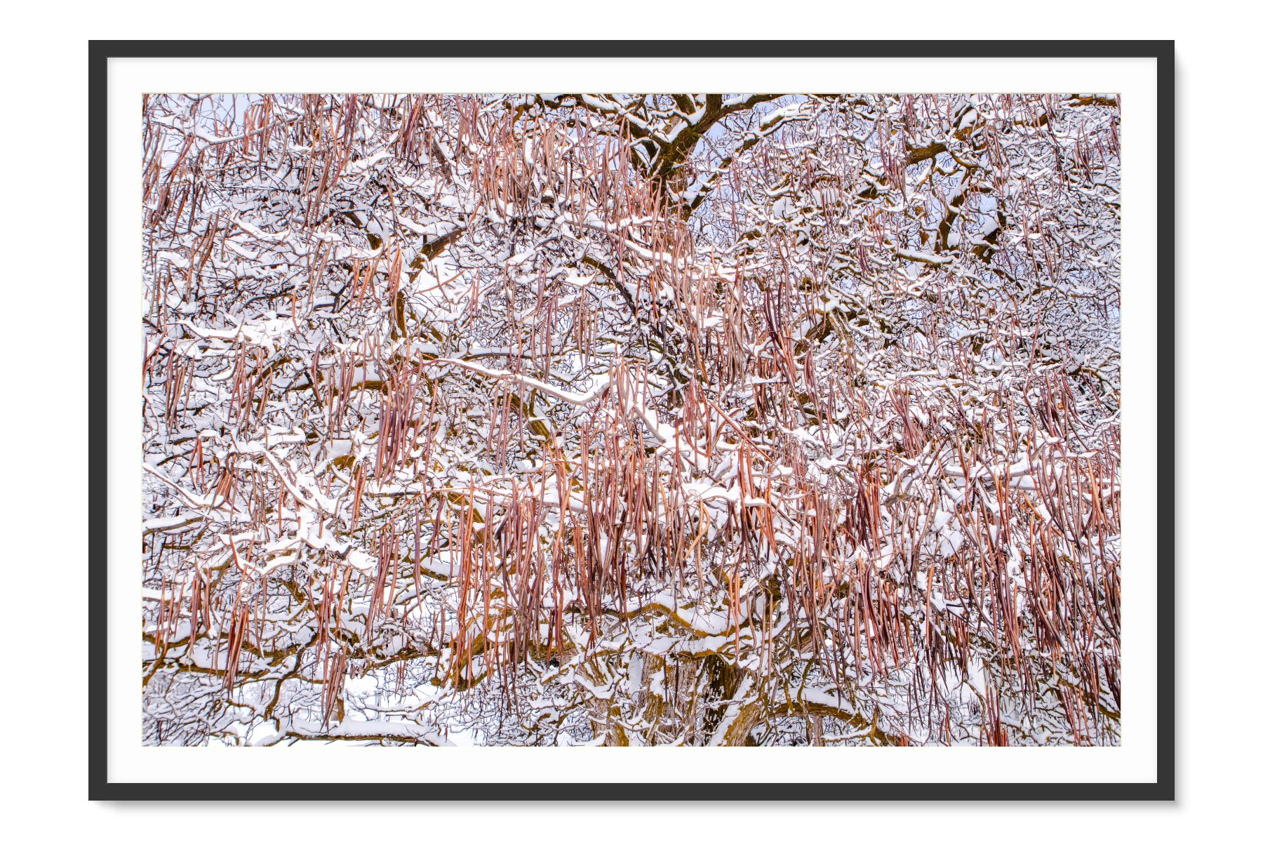 Black Framed artwork of a winter scene with snow-covered branches on a white background