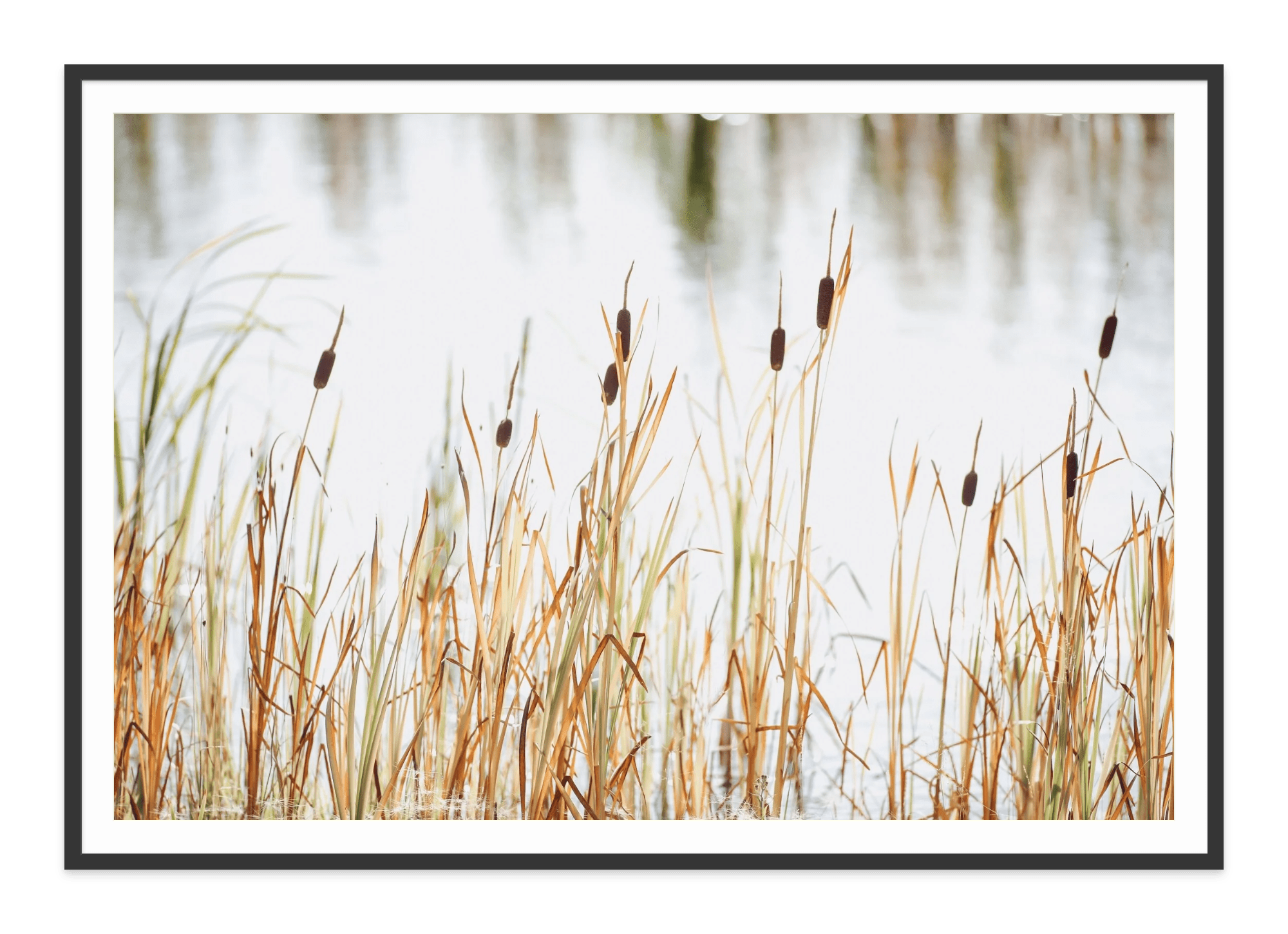 - Jules Frazier Fine Art Photographs