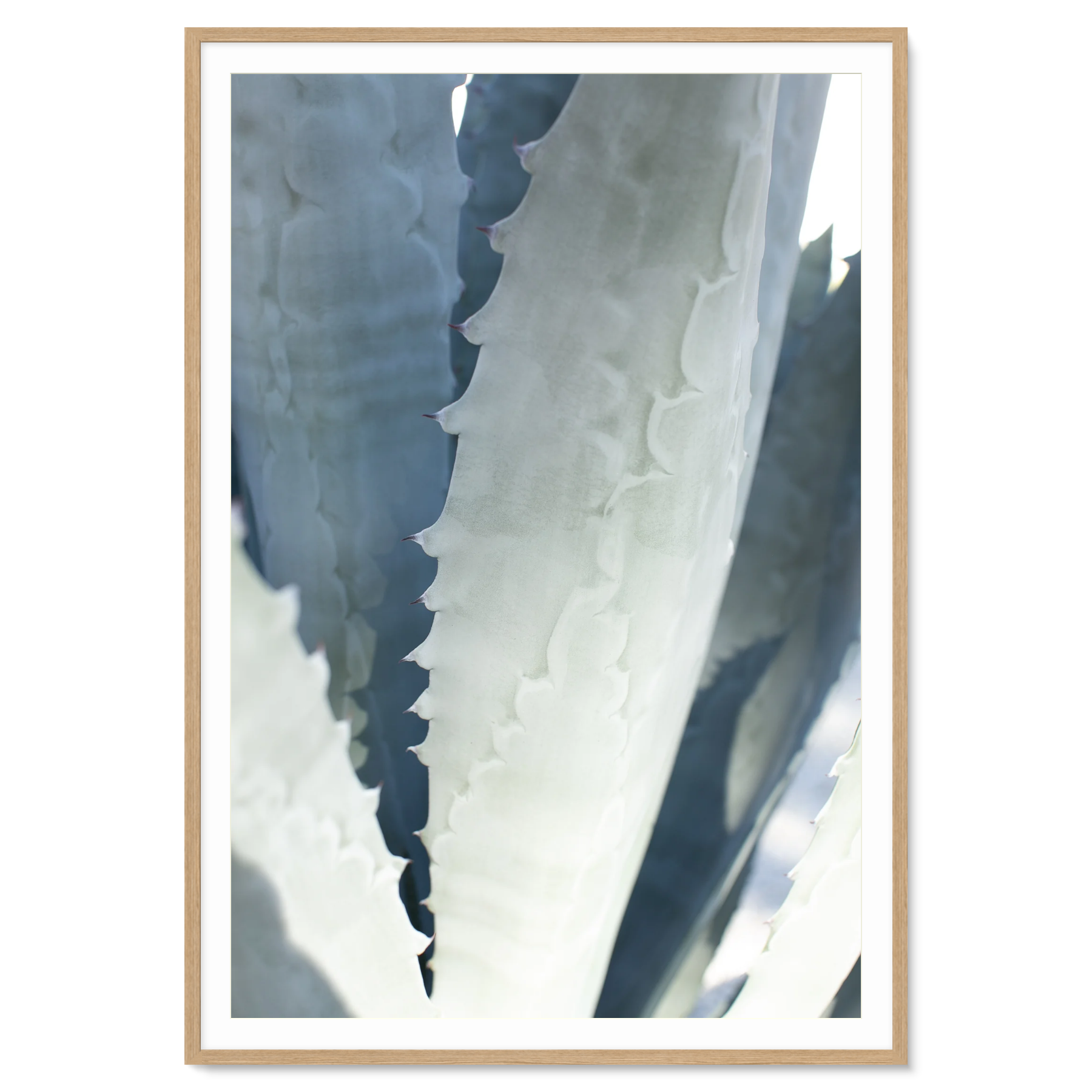Image rendered by ArtFlows