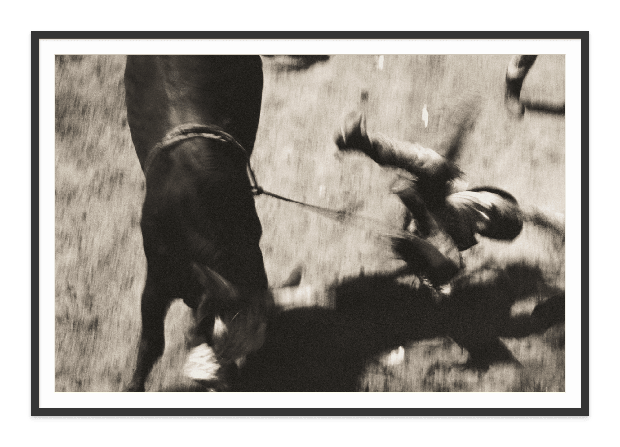 - Jules Frazier Fine Art Photographs