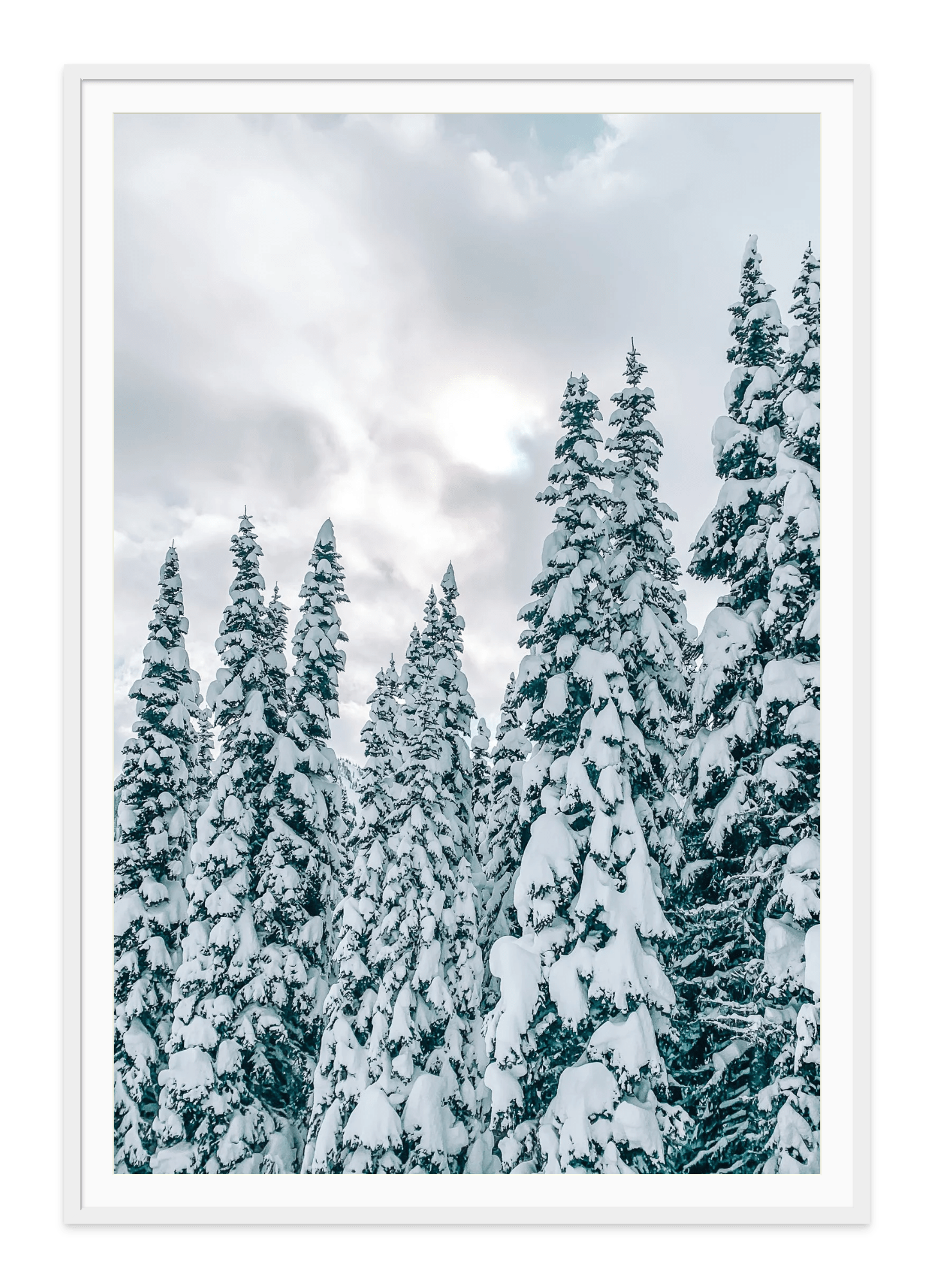 - Jules Frazier Fine Art Photographs