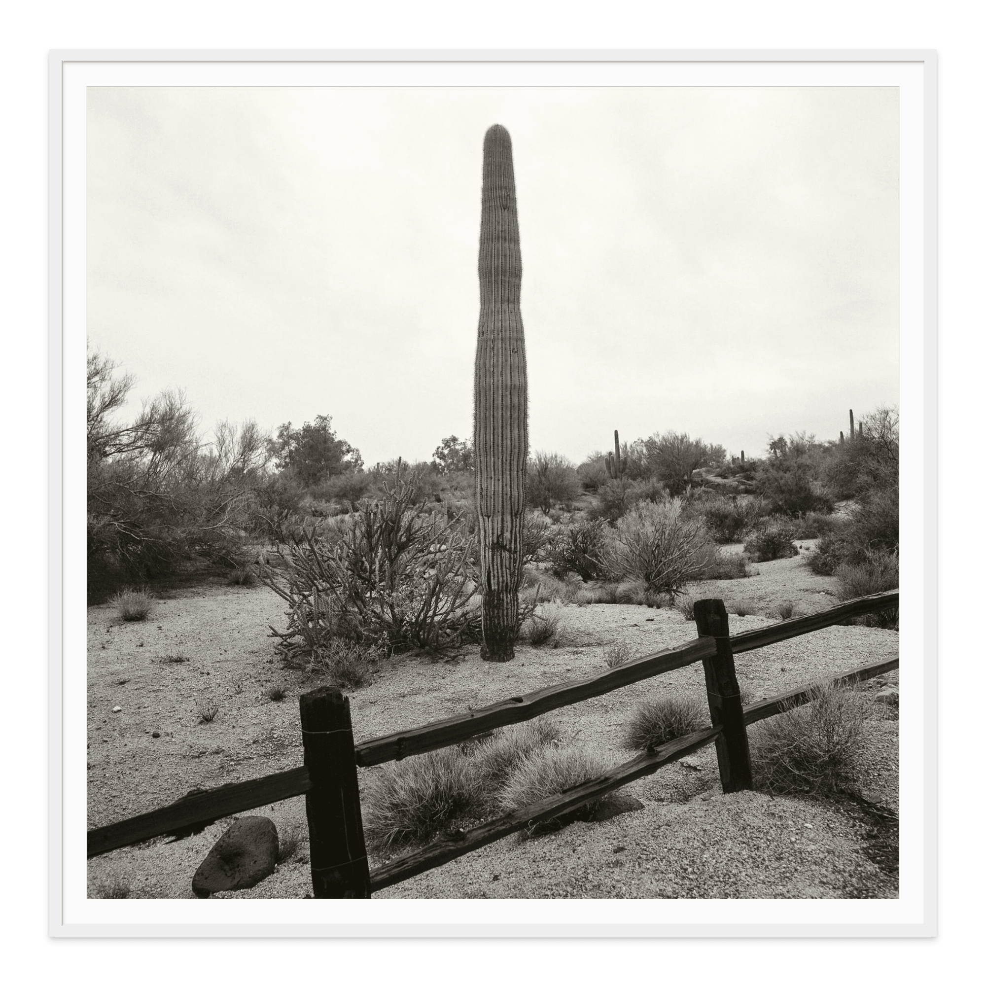 - Jules Frazier Fine Art Photographs
