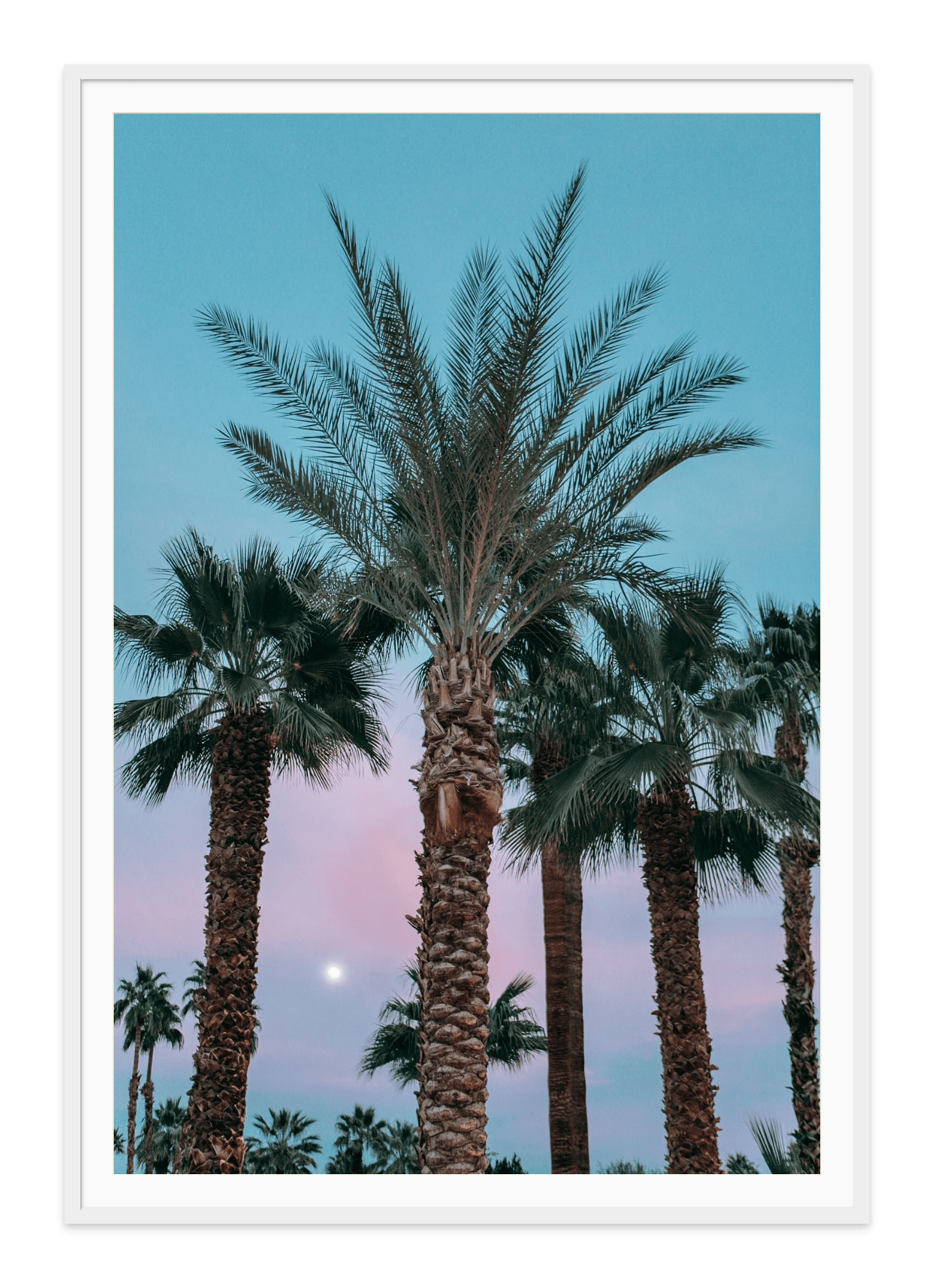 - Jules Frazier Fine Art Photographs