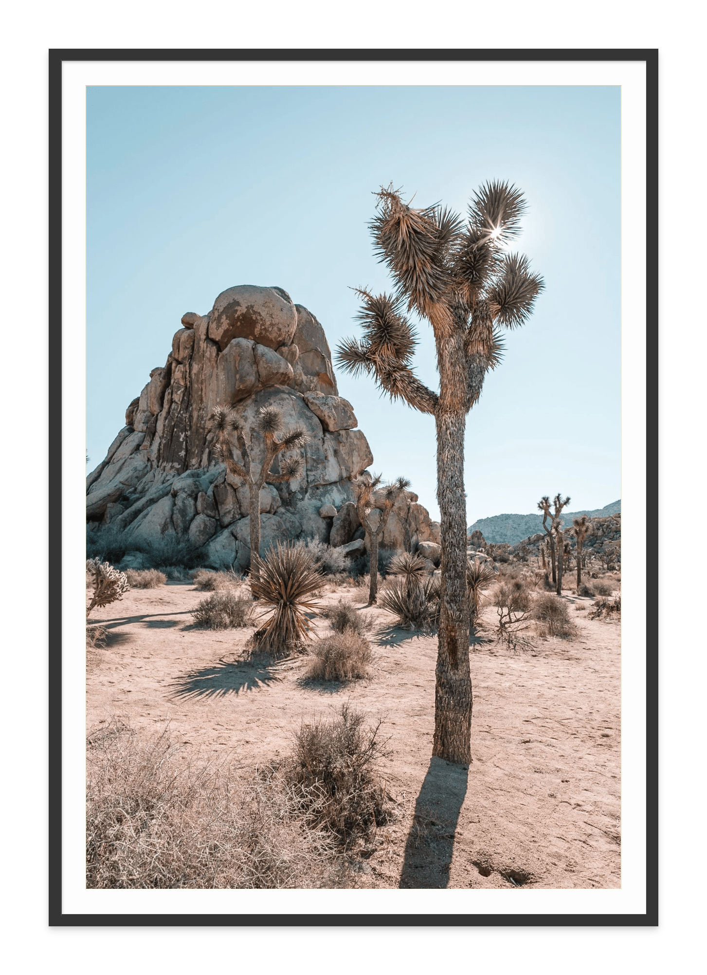 - Jules Frazier Fine Art Photographs