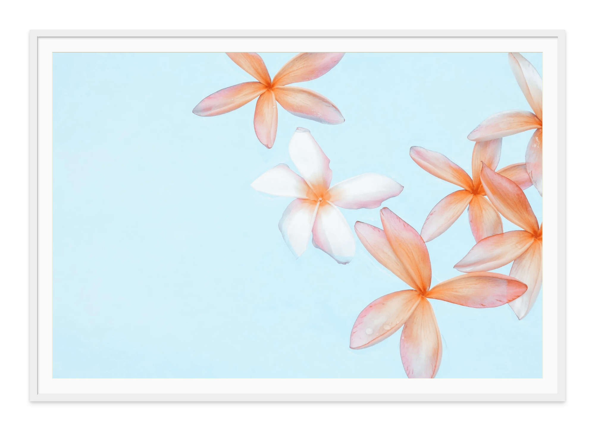 - Jules Frazier Fine Art Photographs