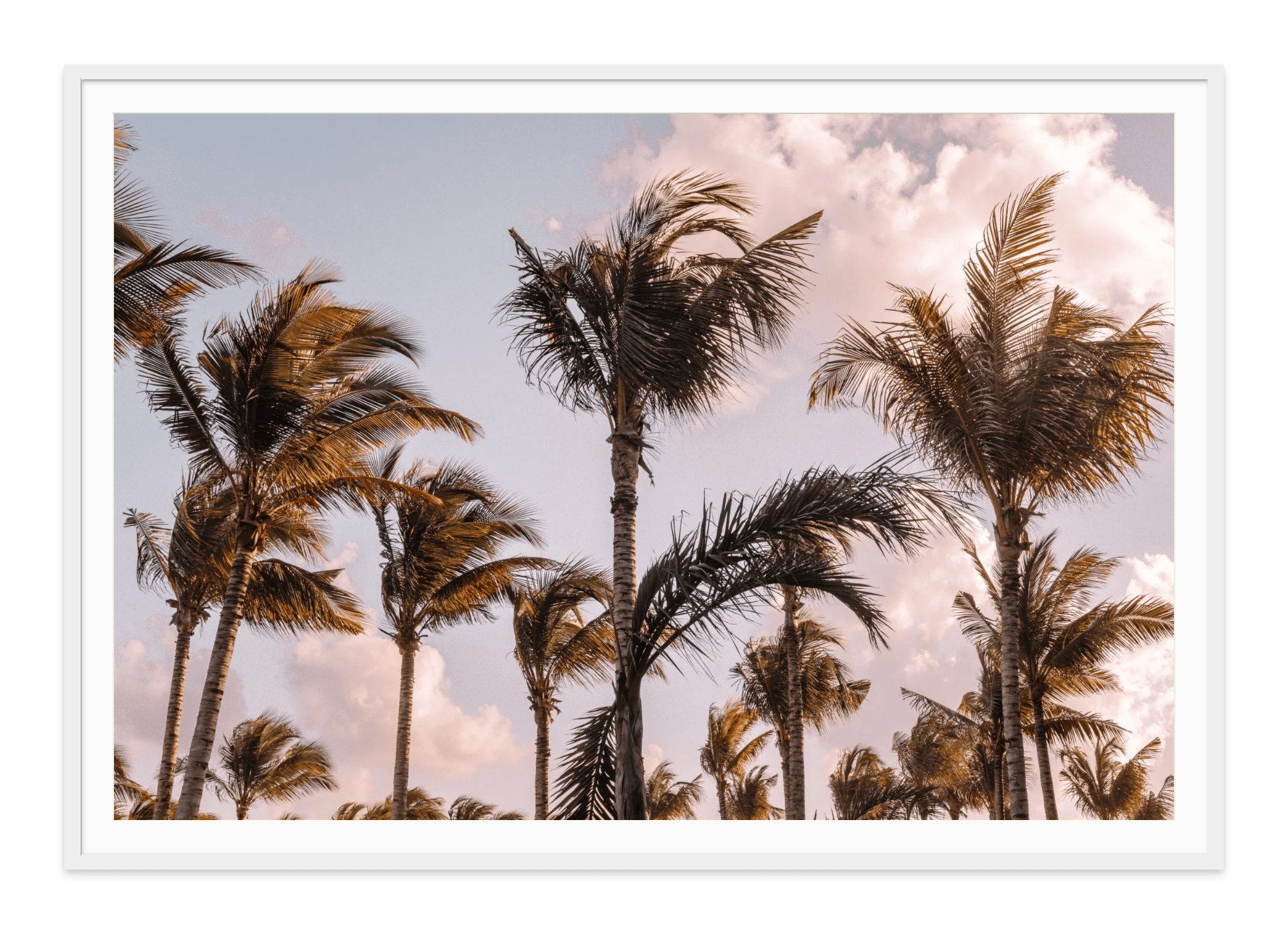 - Jules Frazier Fine Art Photographs