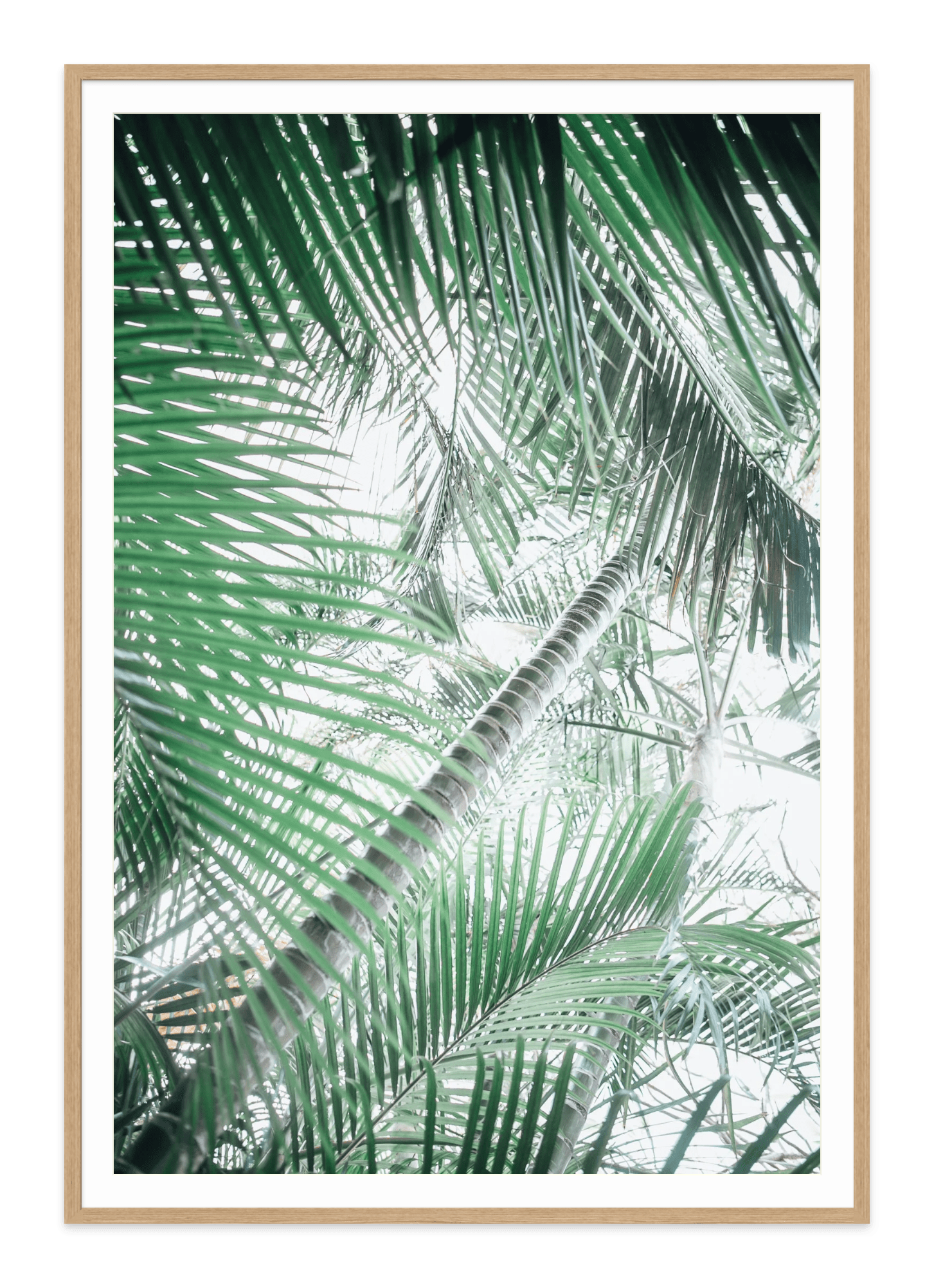 - Jules Frazier Fine Art Photographs