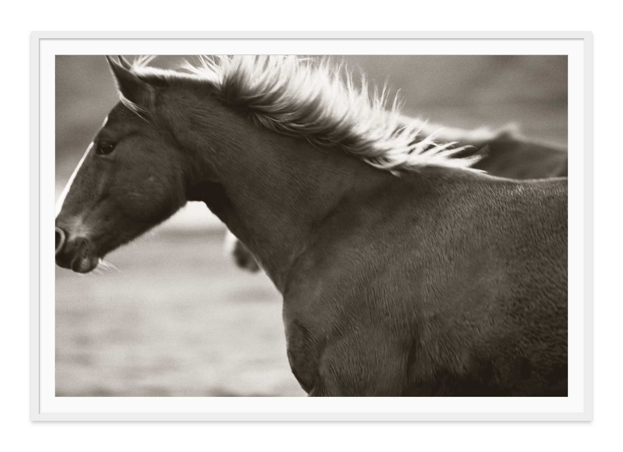 - Jules Frazier Fine Art Photographs