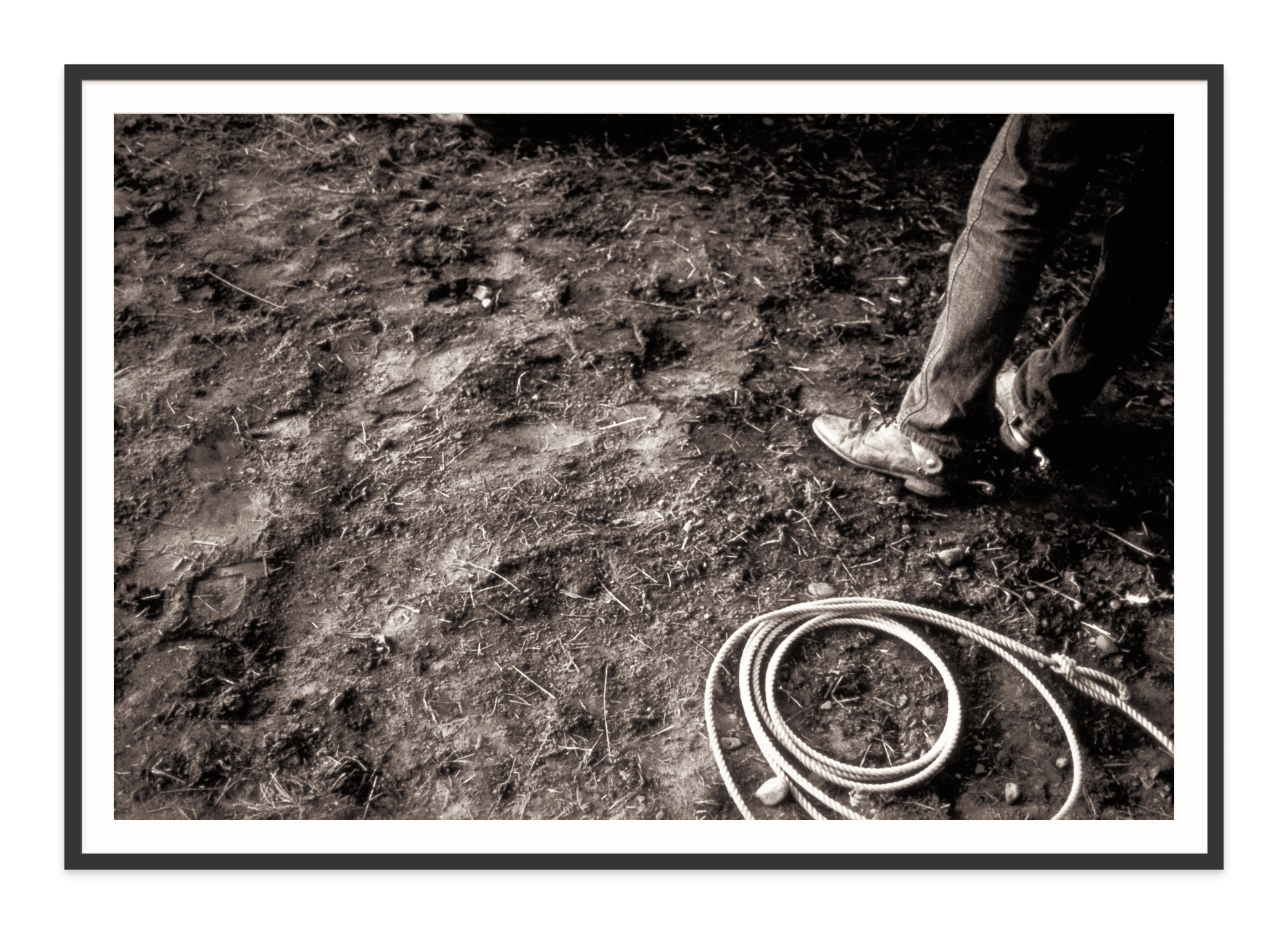 - Jules Frazier Fine Art Photographs