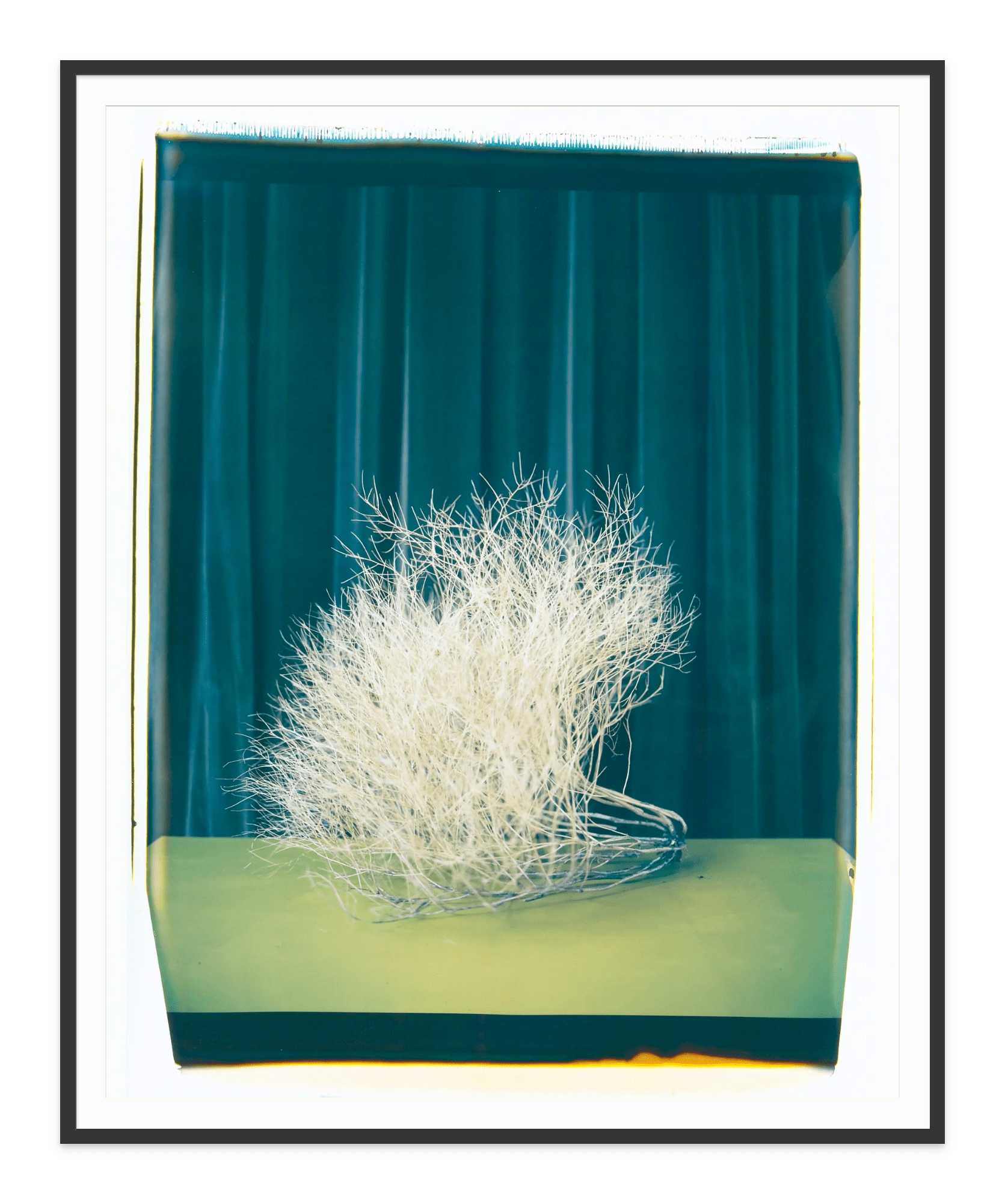 - Jules Frazier Fine Art Photographs