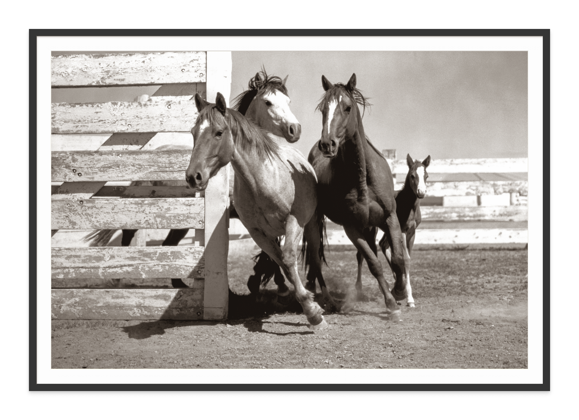 - Jules Frazier Fine Art Photographs