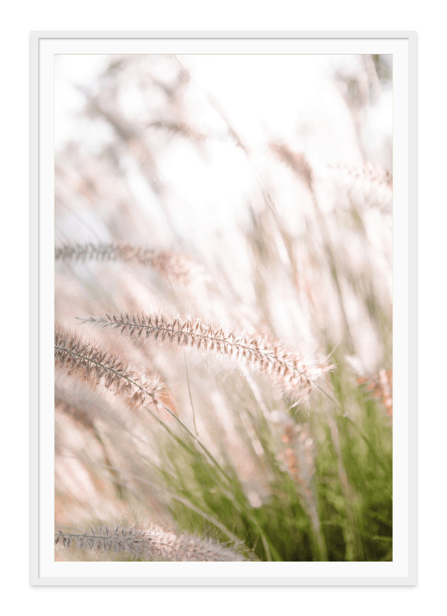- Jules Frazier Fine Art Photographs