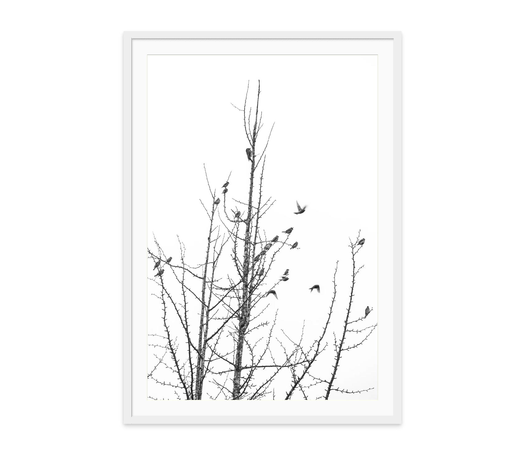 - Jules Frazier Fine Art Photographs