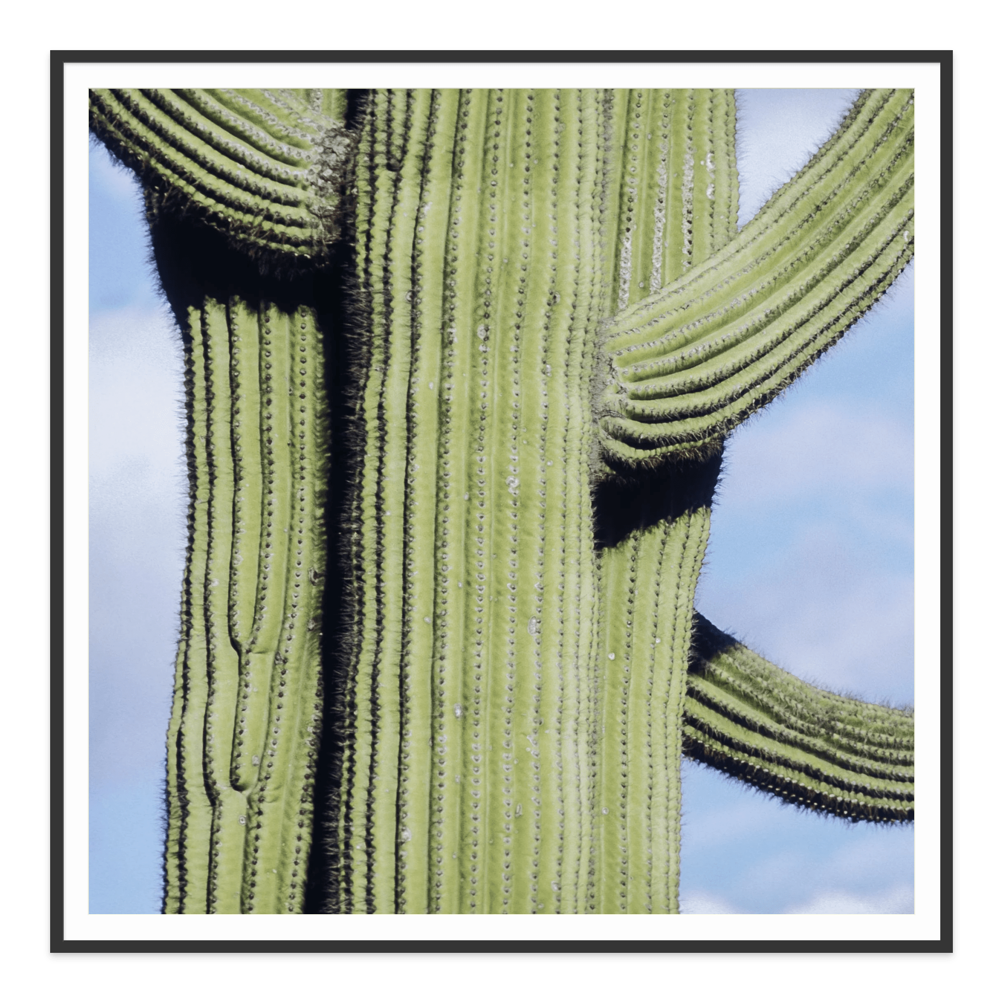 - Jules Frazier Fine Art Photographs