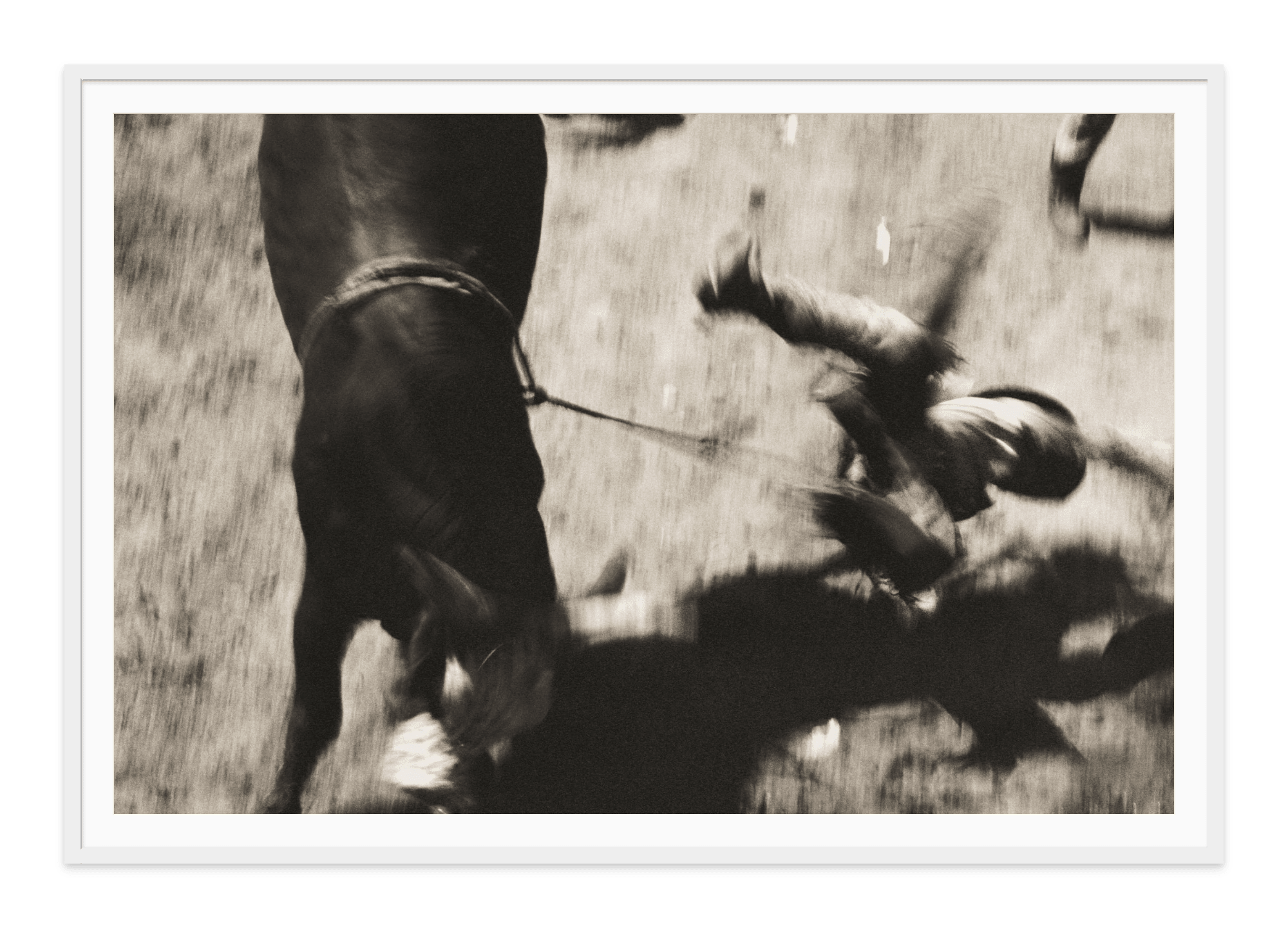 - Jules Frazier Fine Art Photographs