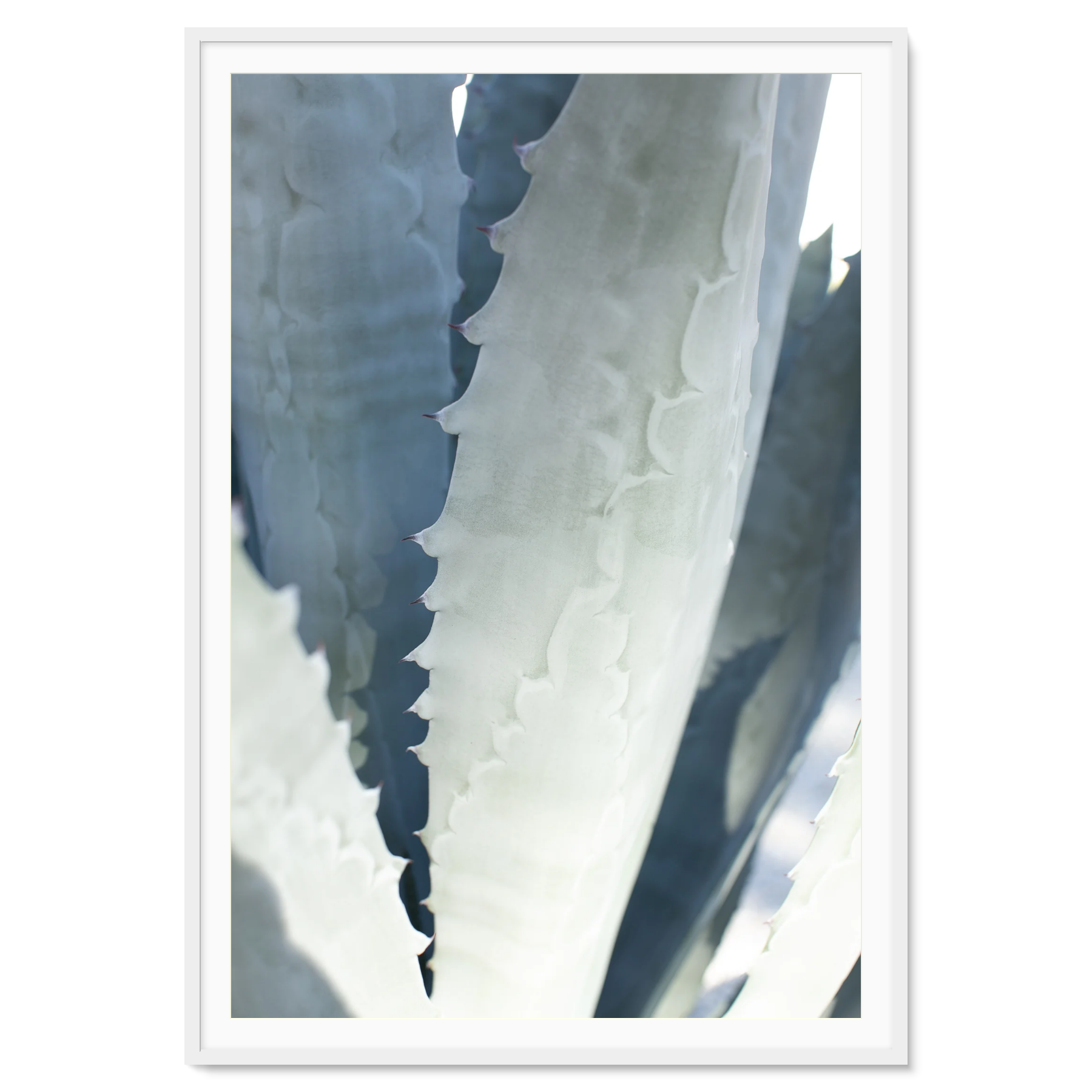Image rendered by ArtFlows