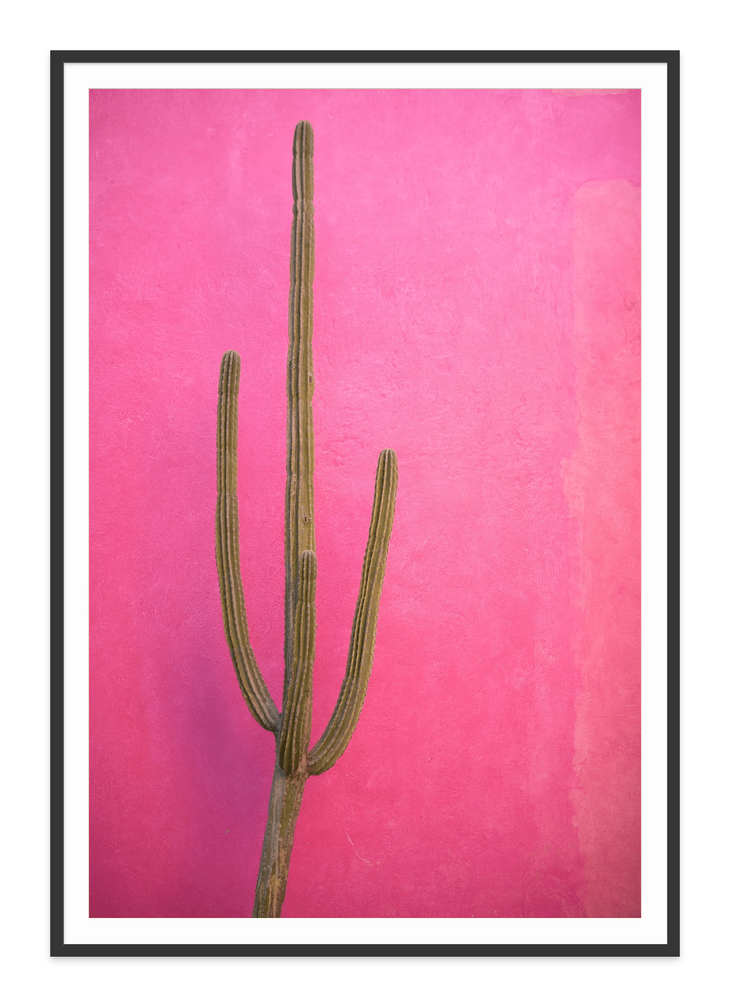 - Jules Frazier Fine Art Photographs