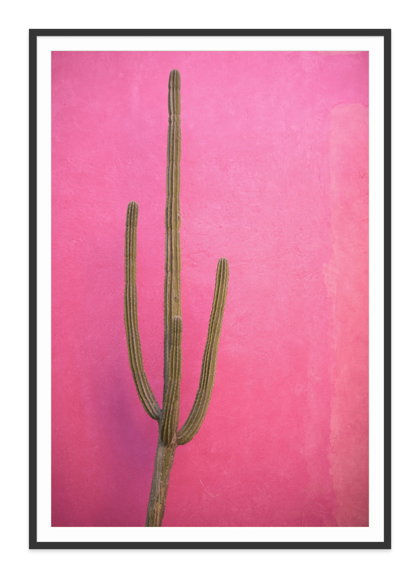 black frame-pink wall with cactus