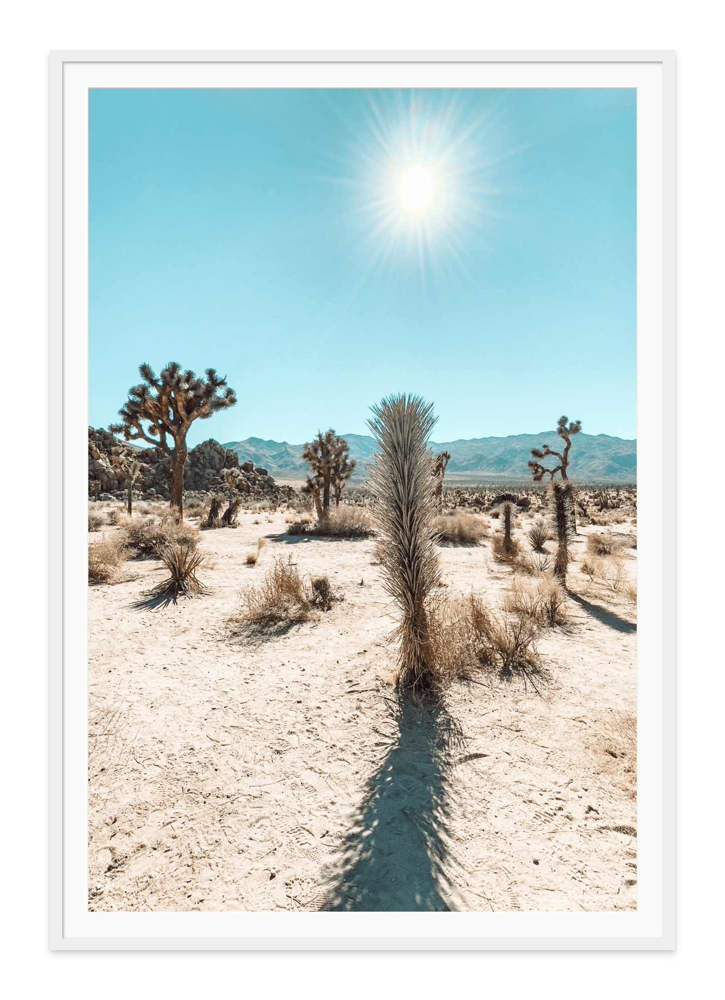 - Jules Frazier Fine Art Photographs