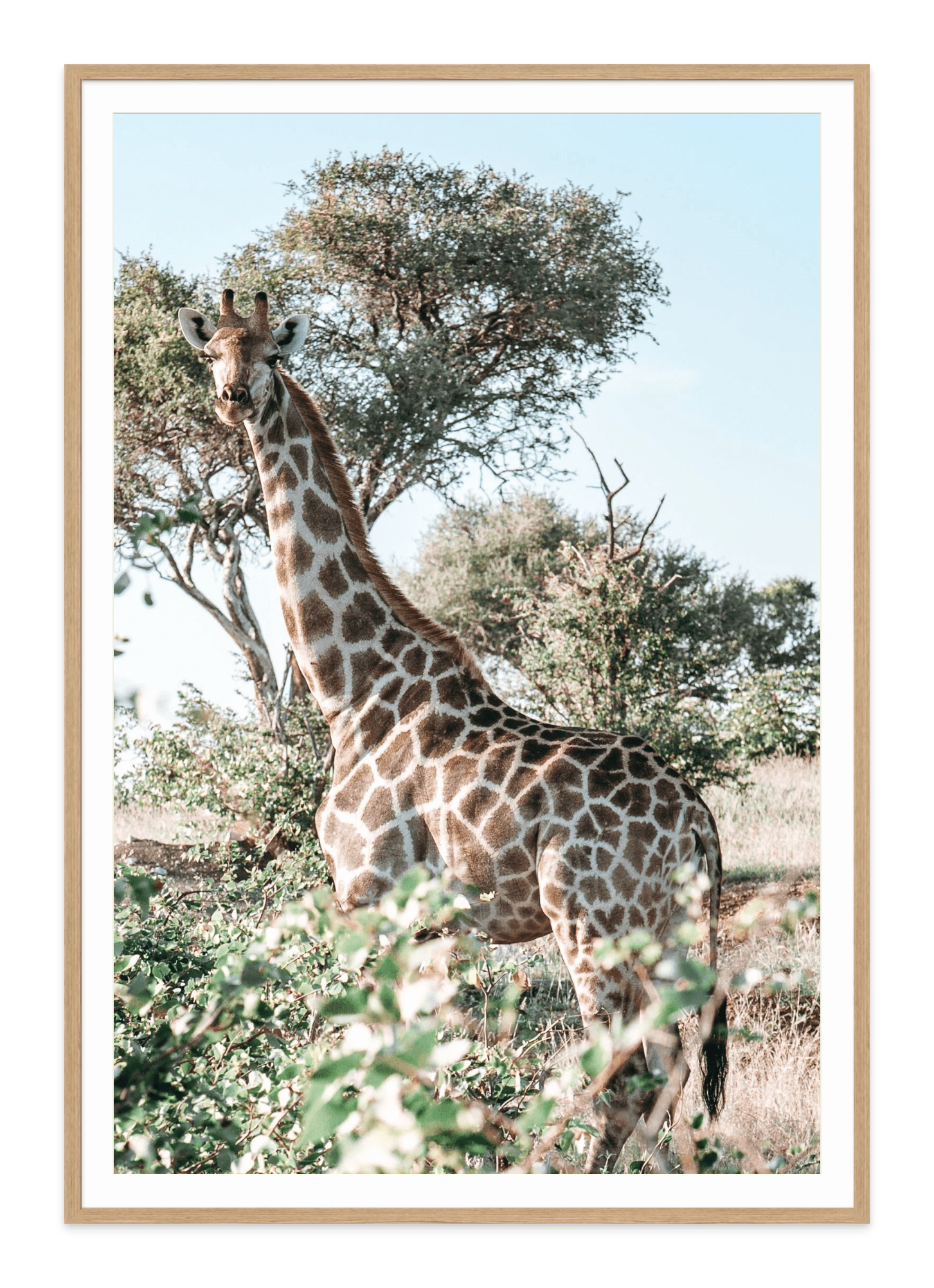 - Jules Frazier Fine Art Photographs
