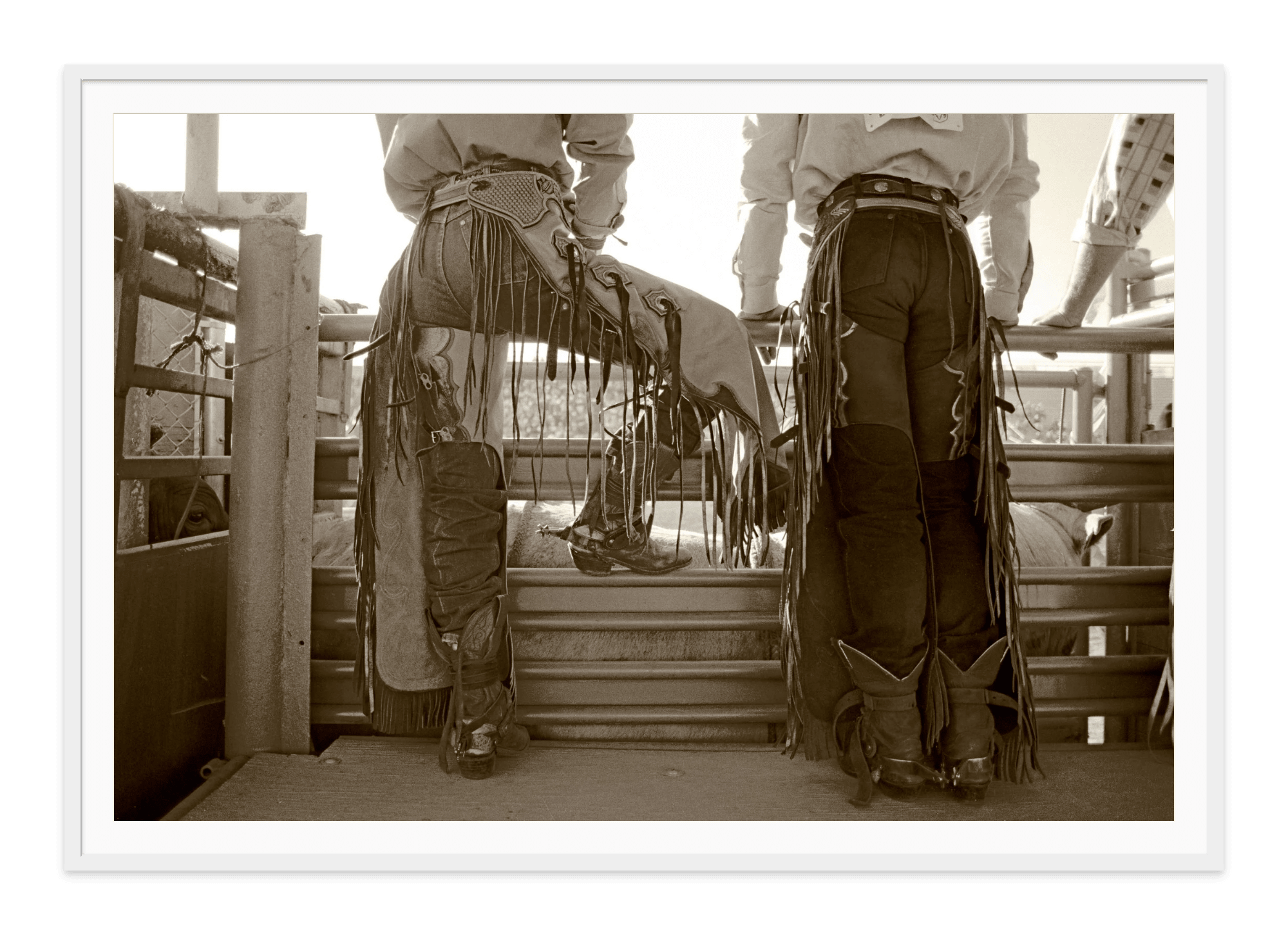 - Jules Frazier Fine Art Photographs