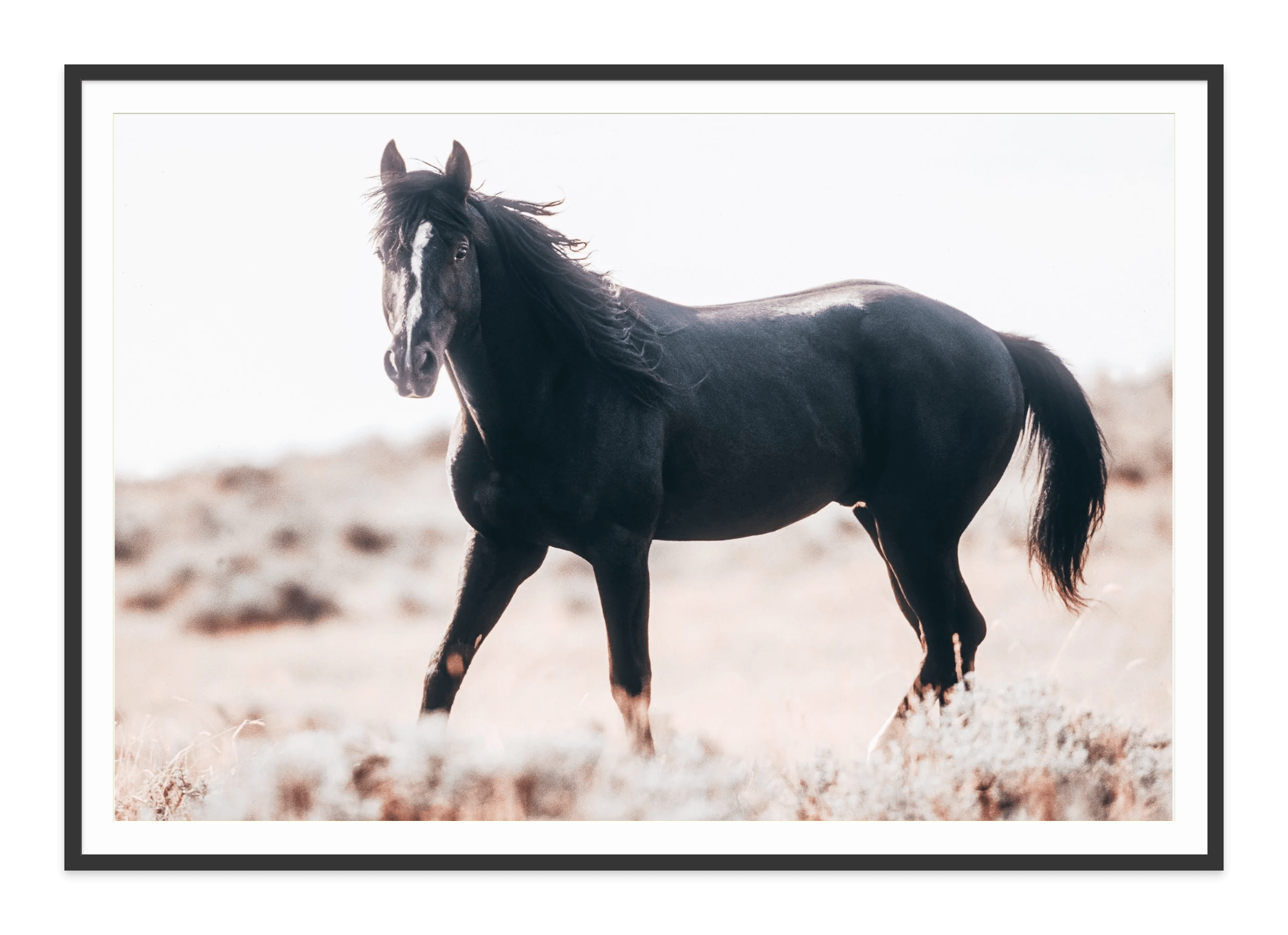 - Jules Frazier Fine Art Photographs
