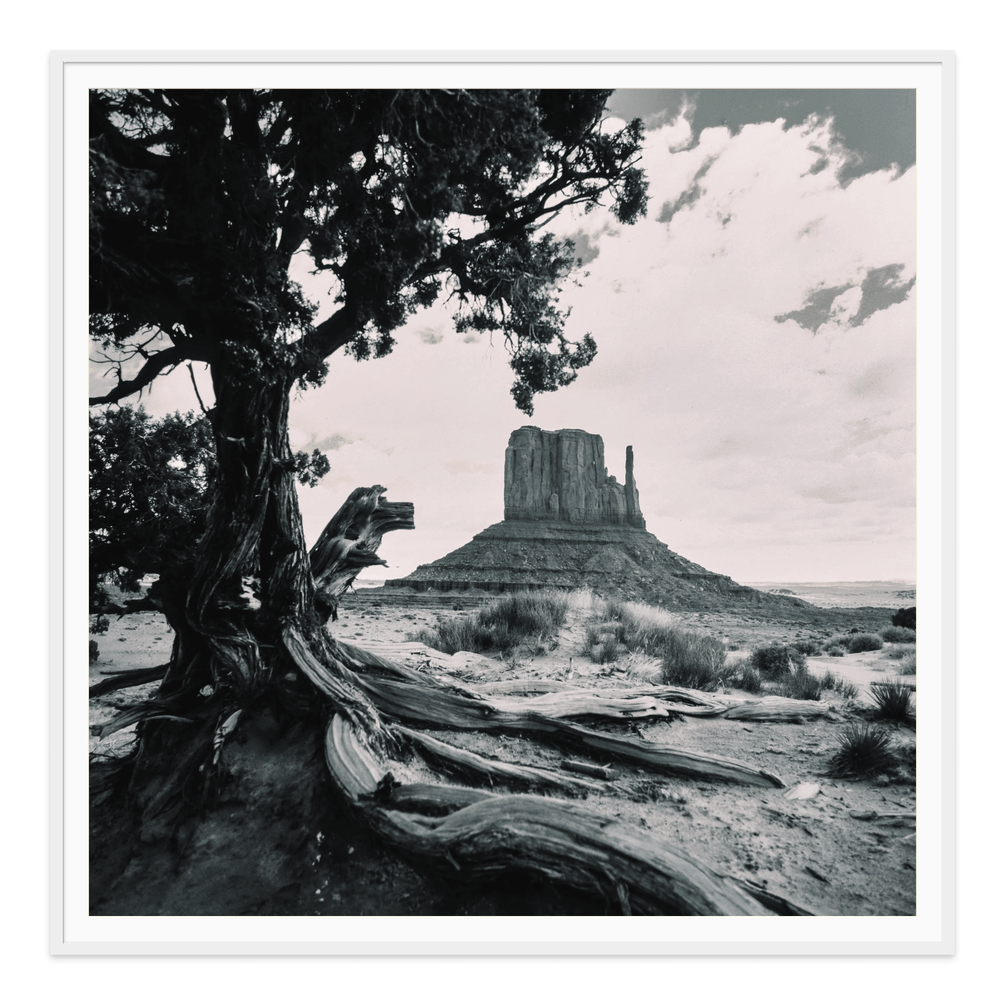 - Jules Frazier Fine Art Photographs