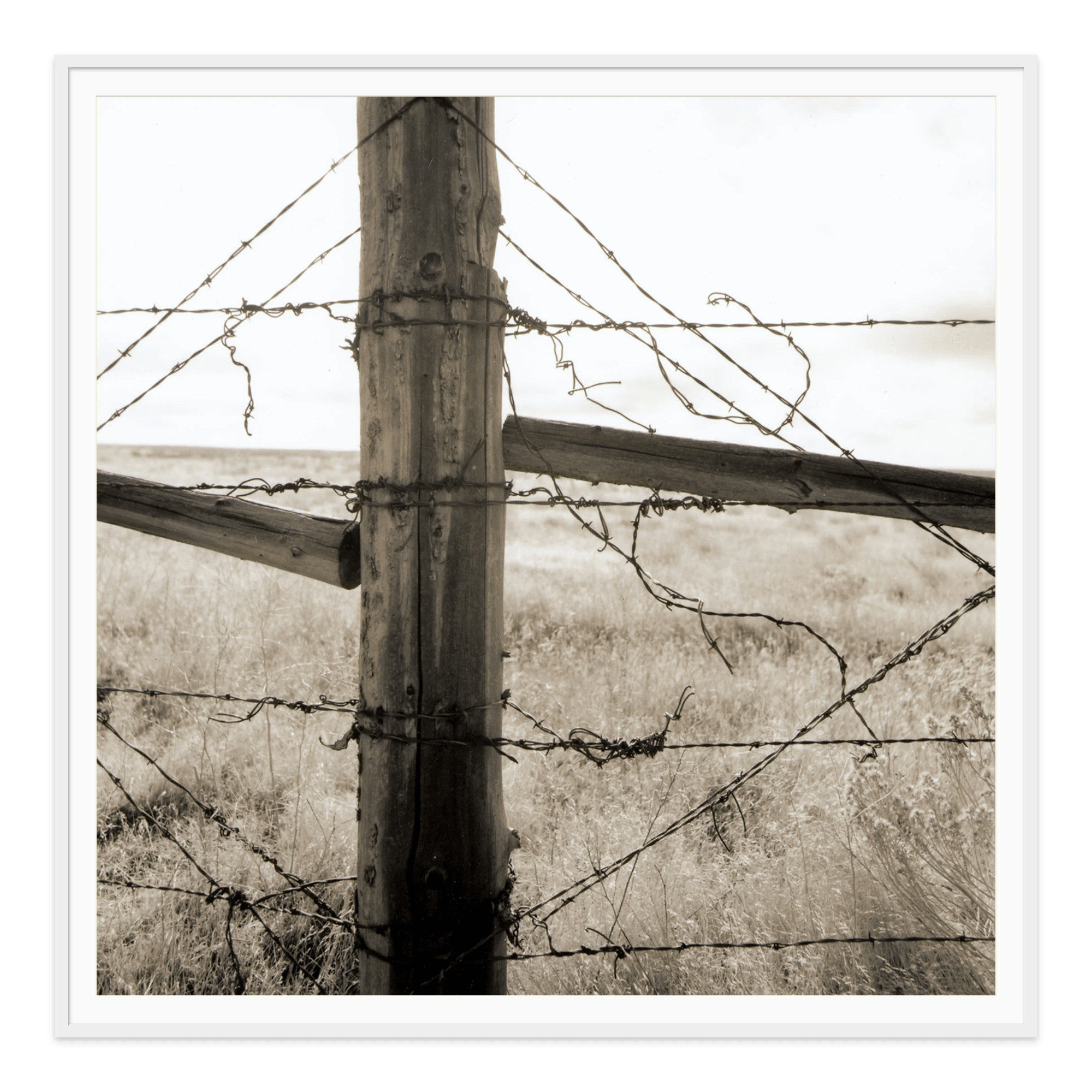 - Jules Frazier Fine Art Photographs