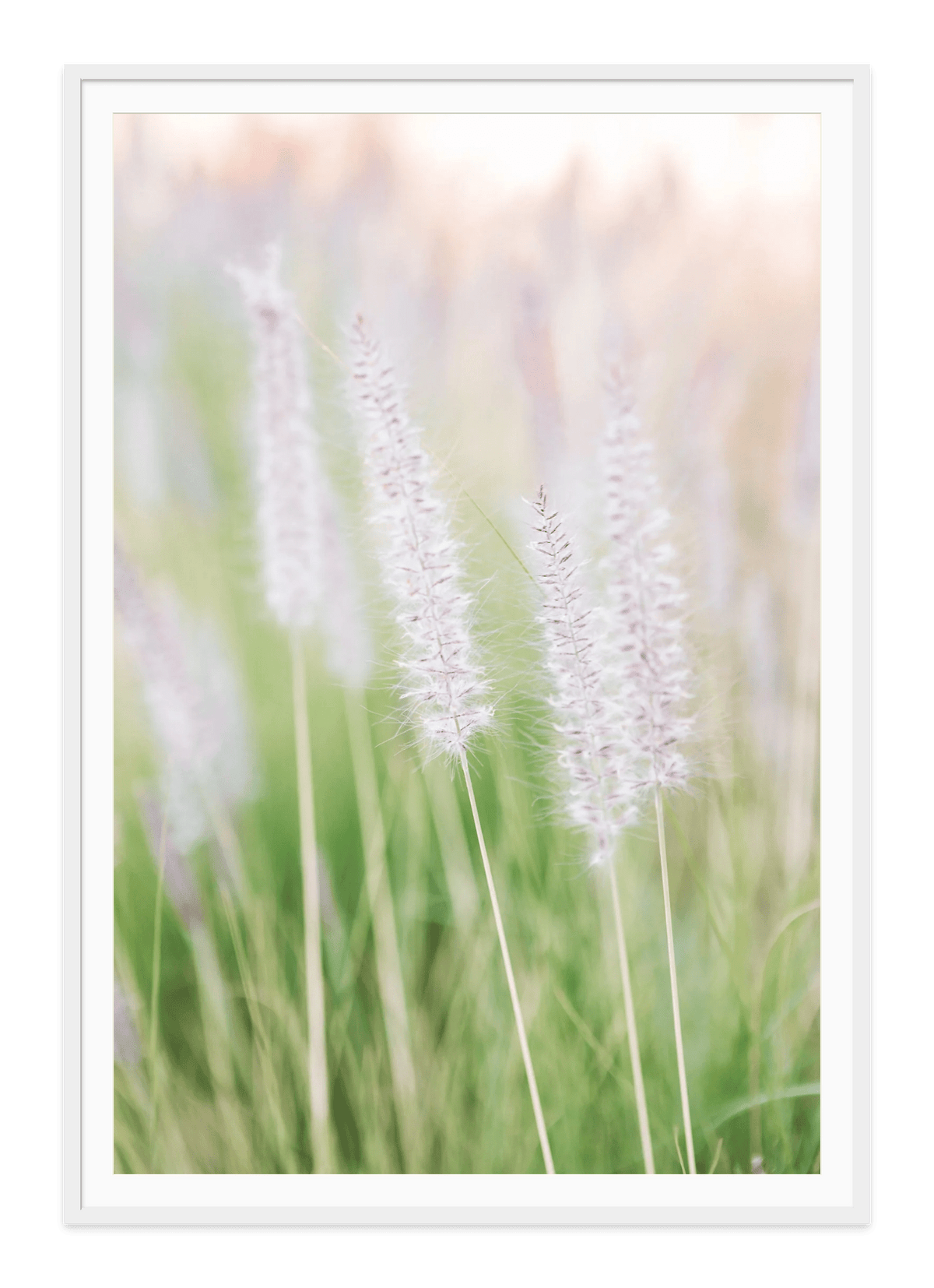 - Jules Frazier Fine Art Photographs