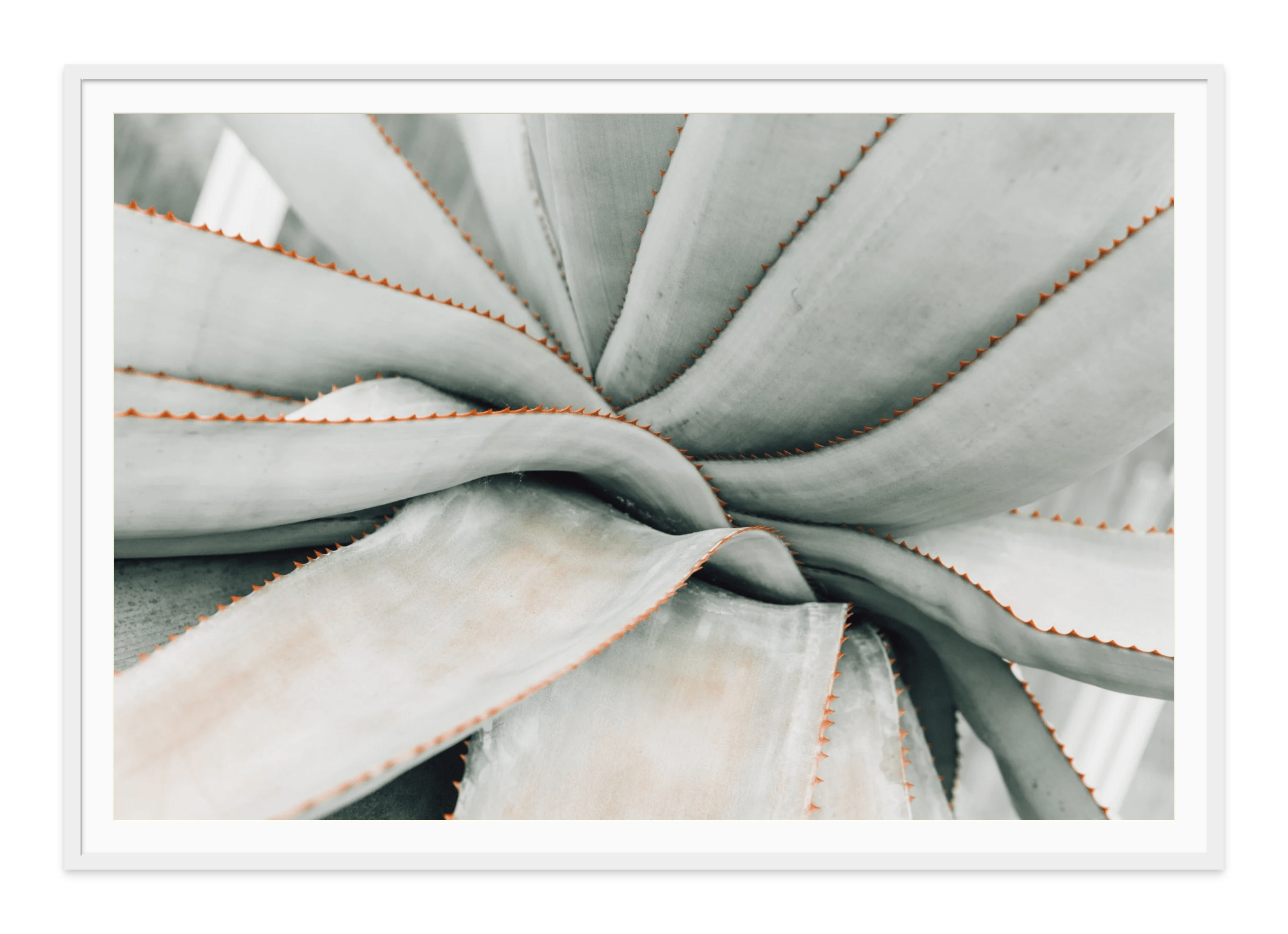- Jules Frazier Fine Art Photographs