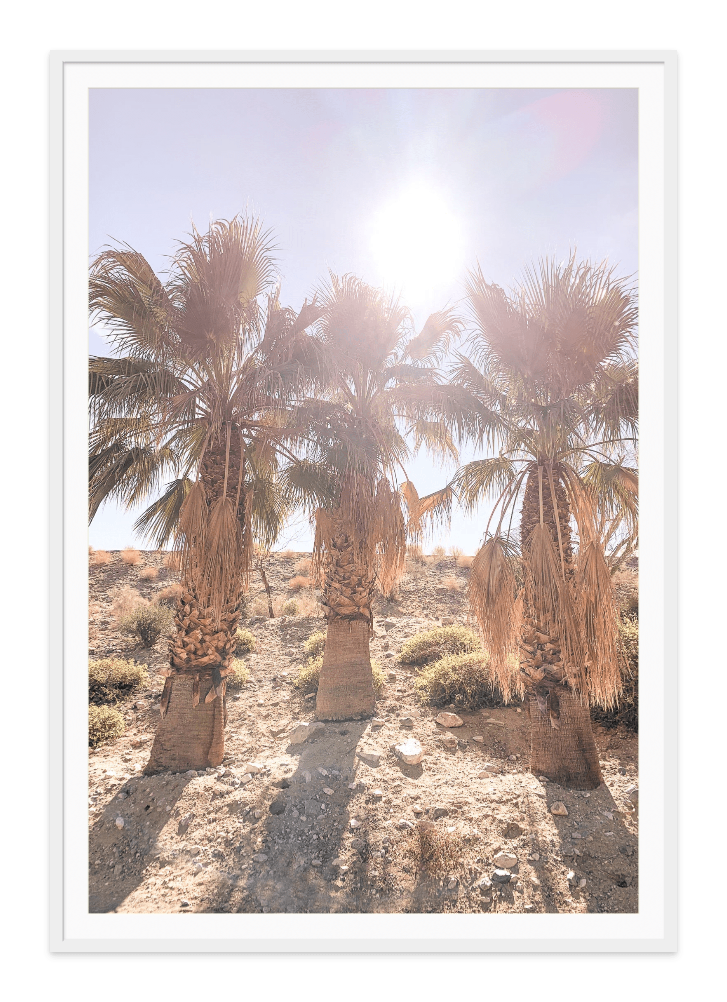 - Jules Frazier Fine Art Photographs
