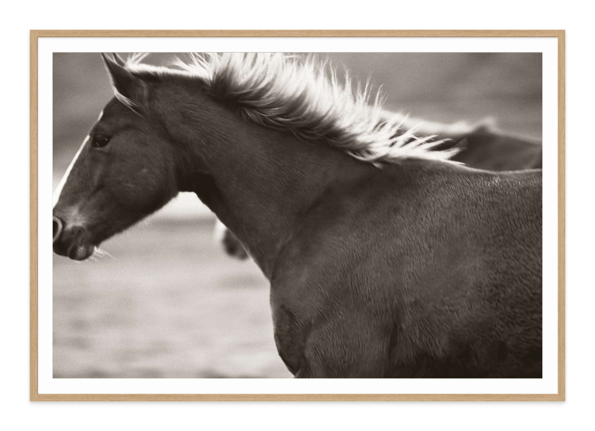 - Jules Frazier Fine Art Photographs