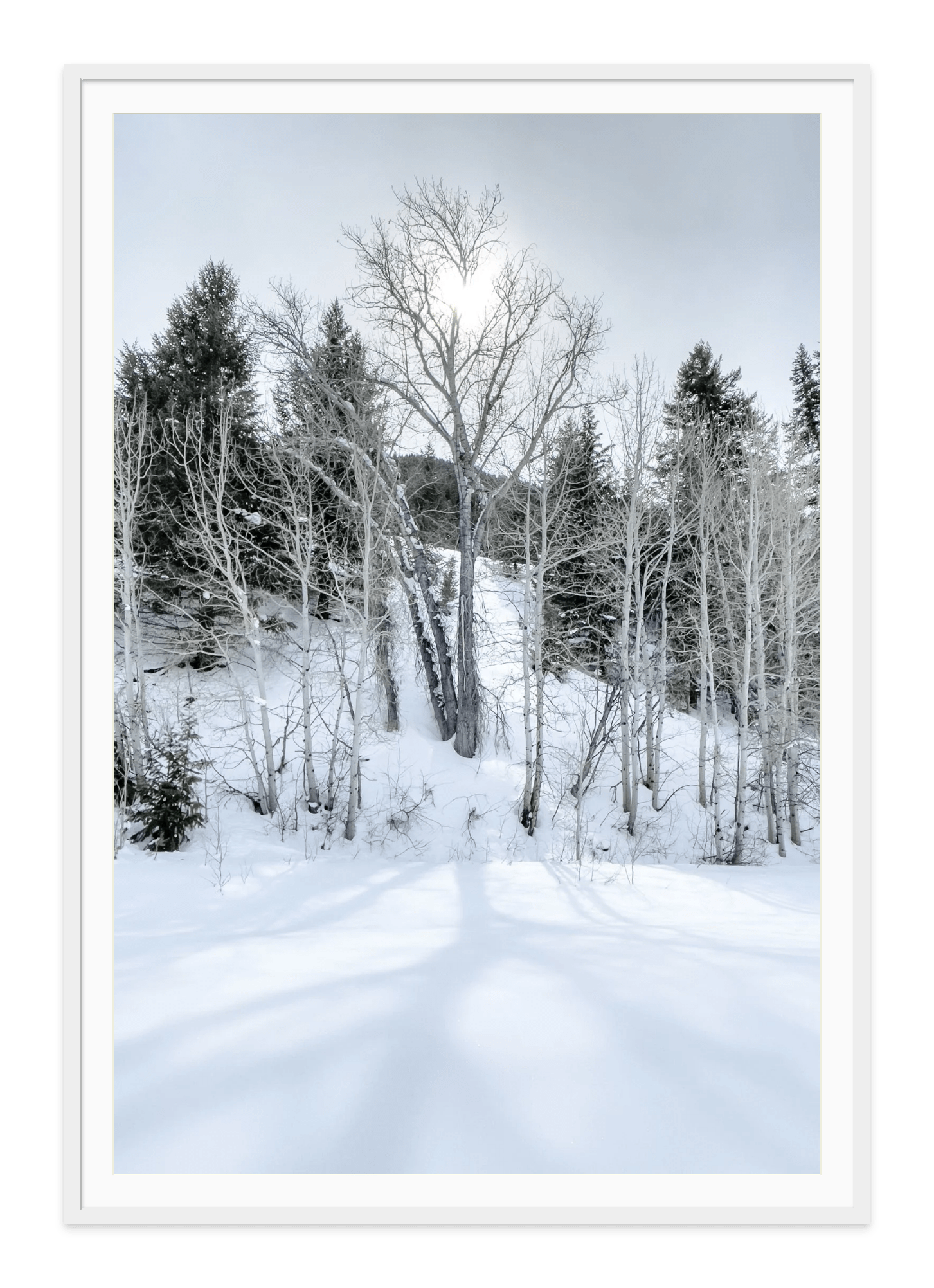 - Jules Frazier Fine Art Photographs