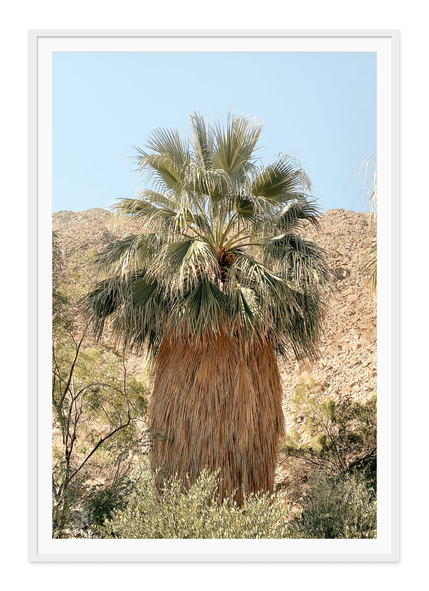 - Jules Frazier Fine Art Photographs