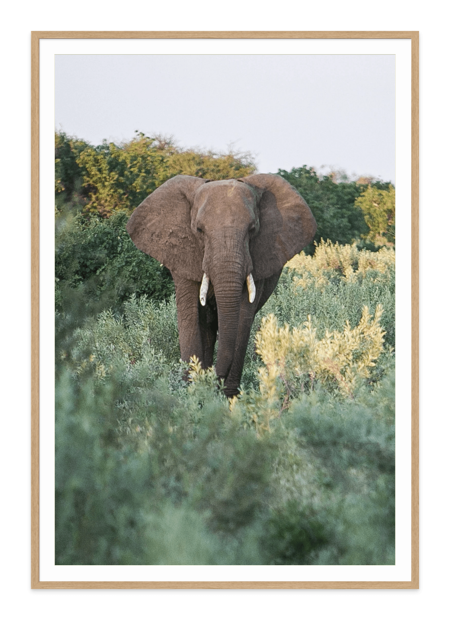 - Jules Frazier Fine Art Photographs