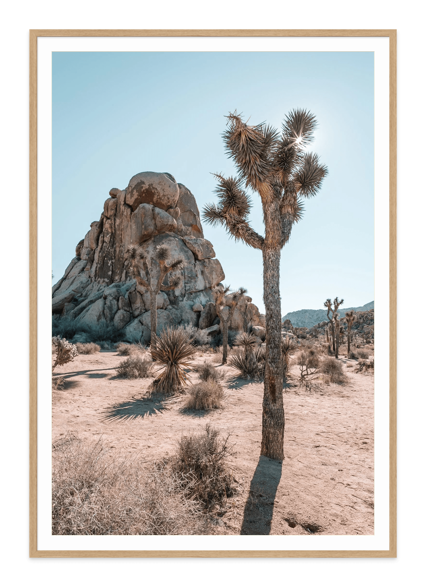 - Jules Frazier Fine Art Photographs