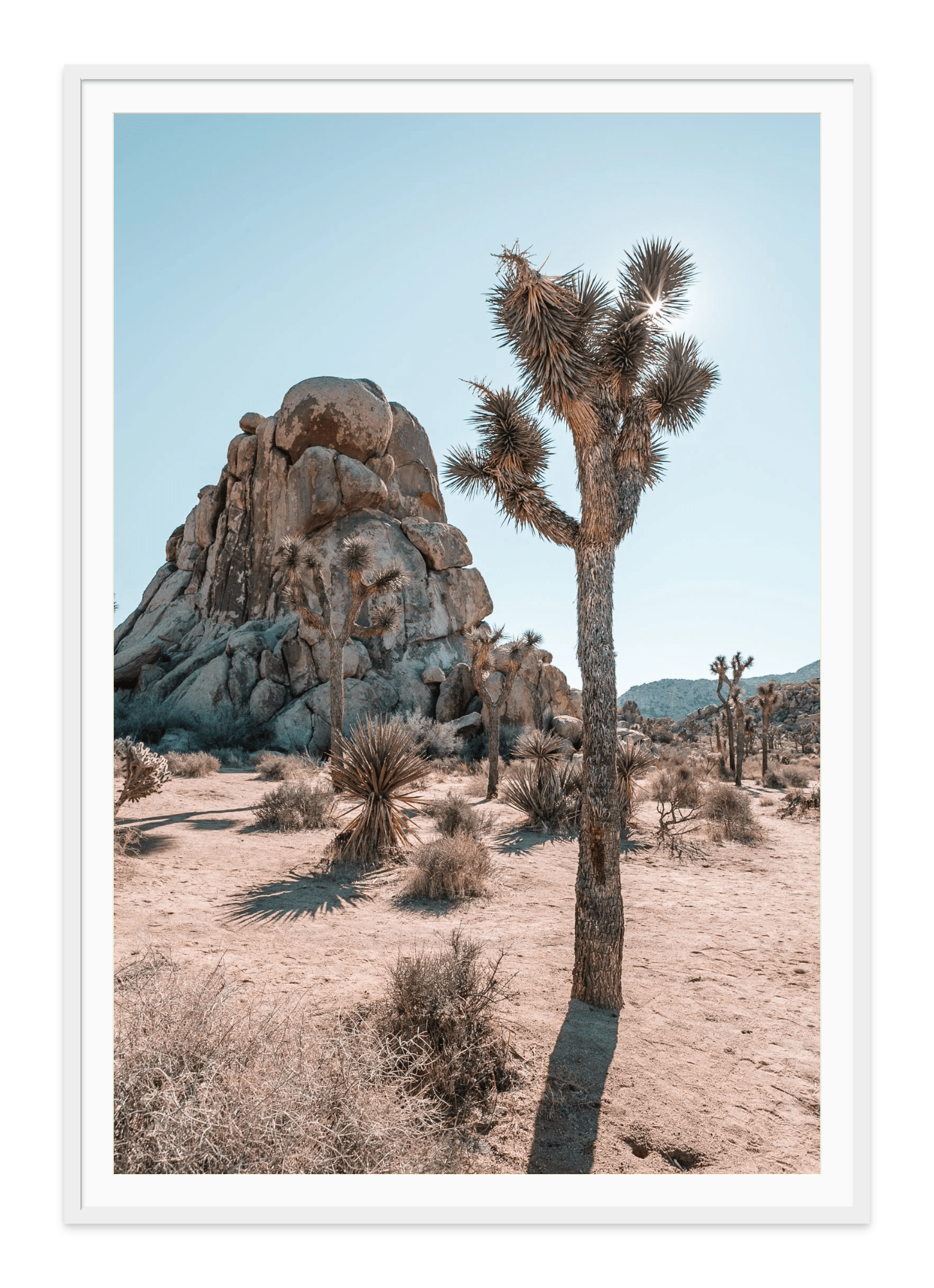 - Jules Frazier Fine Art Photographs