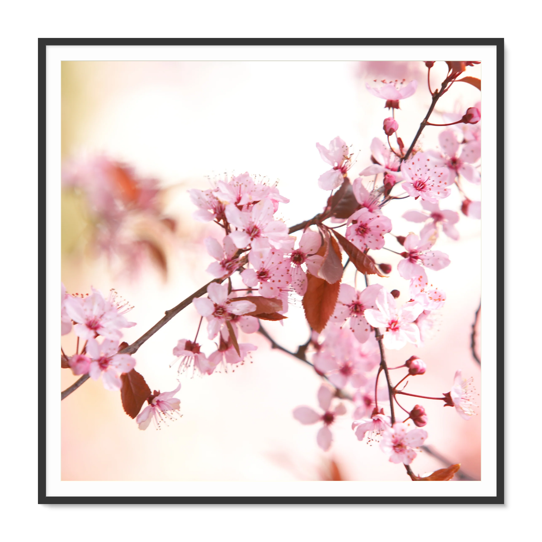 Image rendered by ArtFlows