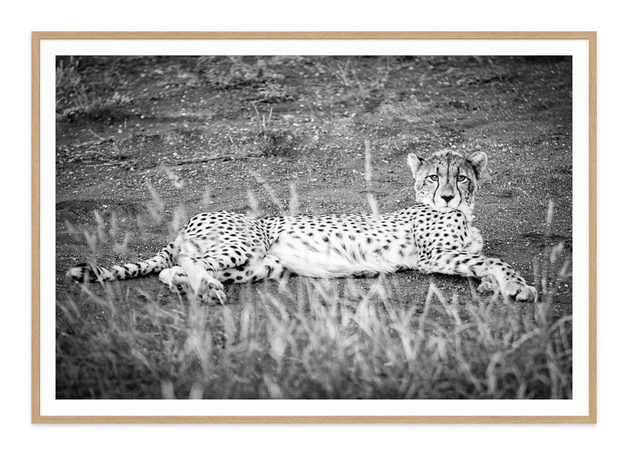 - Jules Frazier Fine Art Photographs
