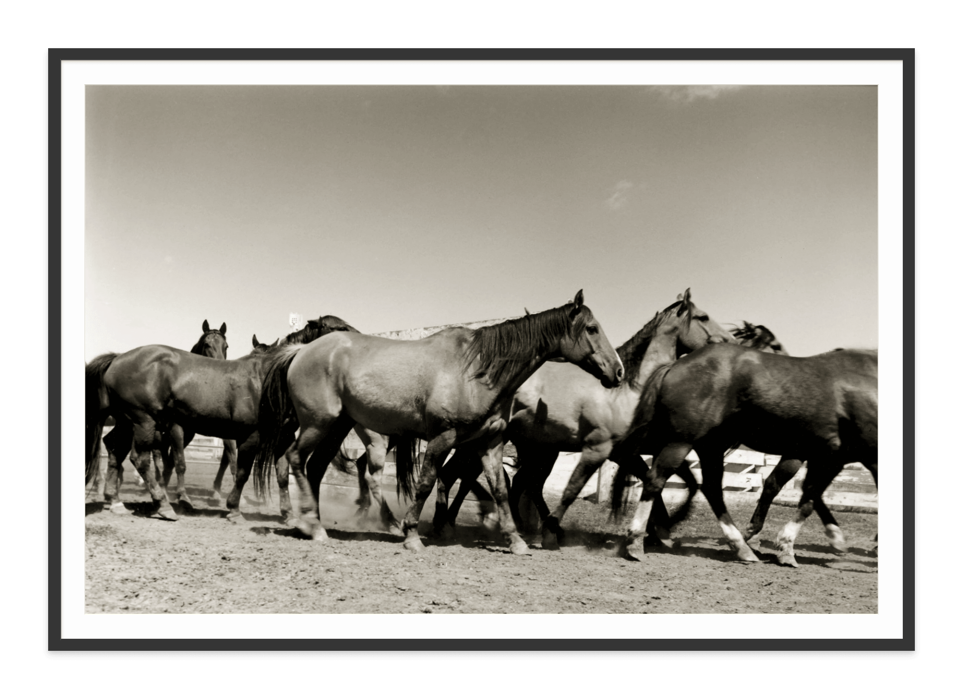 - Jules Frazier Fine Art Photographs