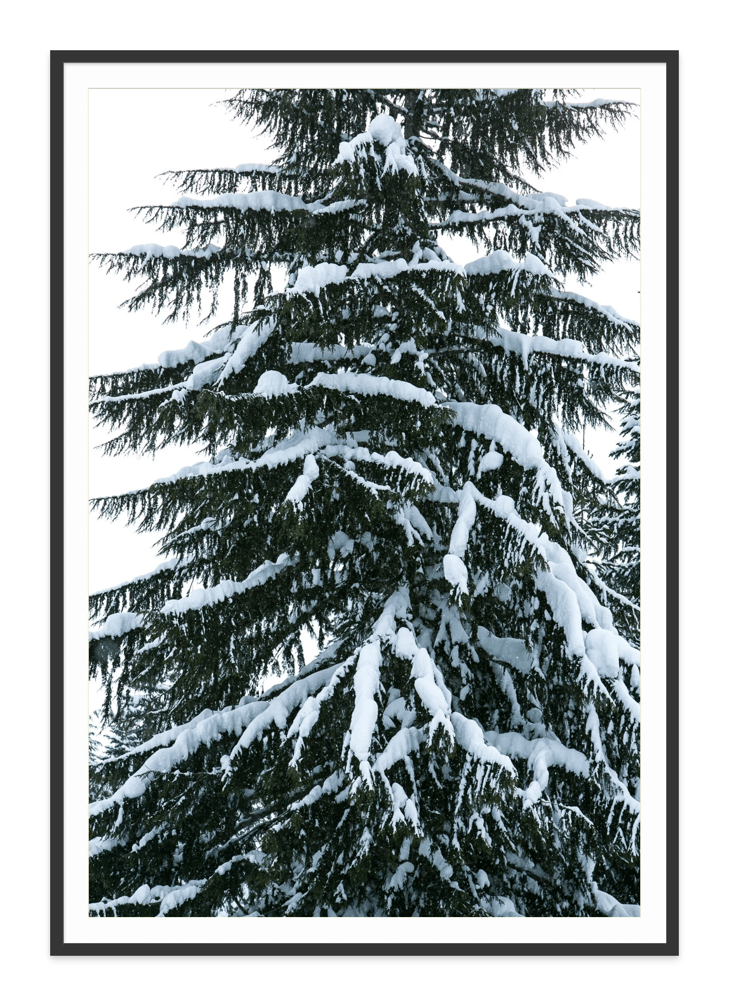 - Jules Frazier Fine Art Photographs