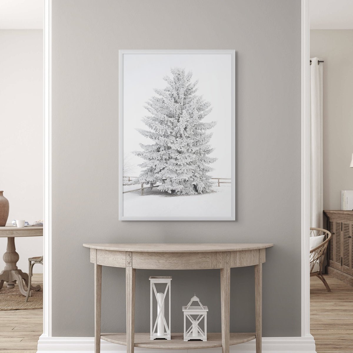 Frosty Blue Spruce 2